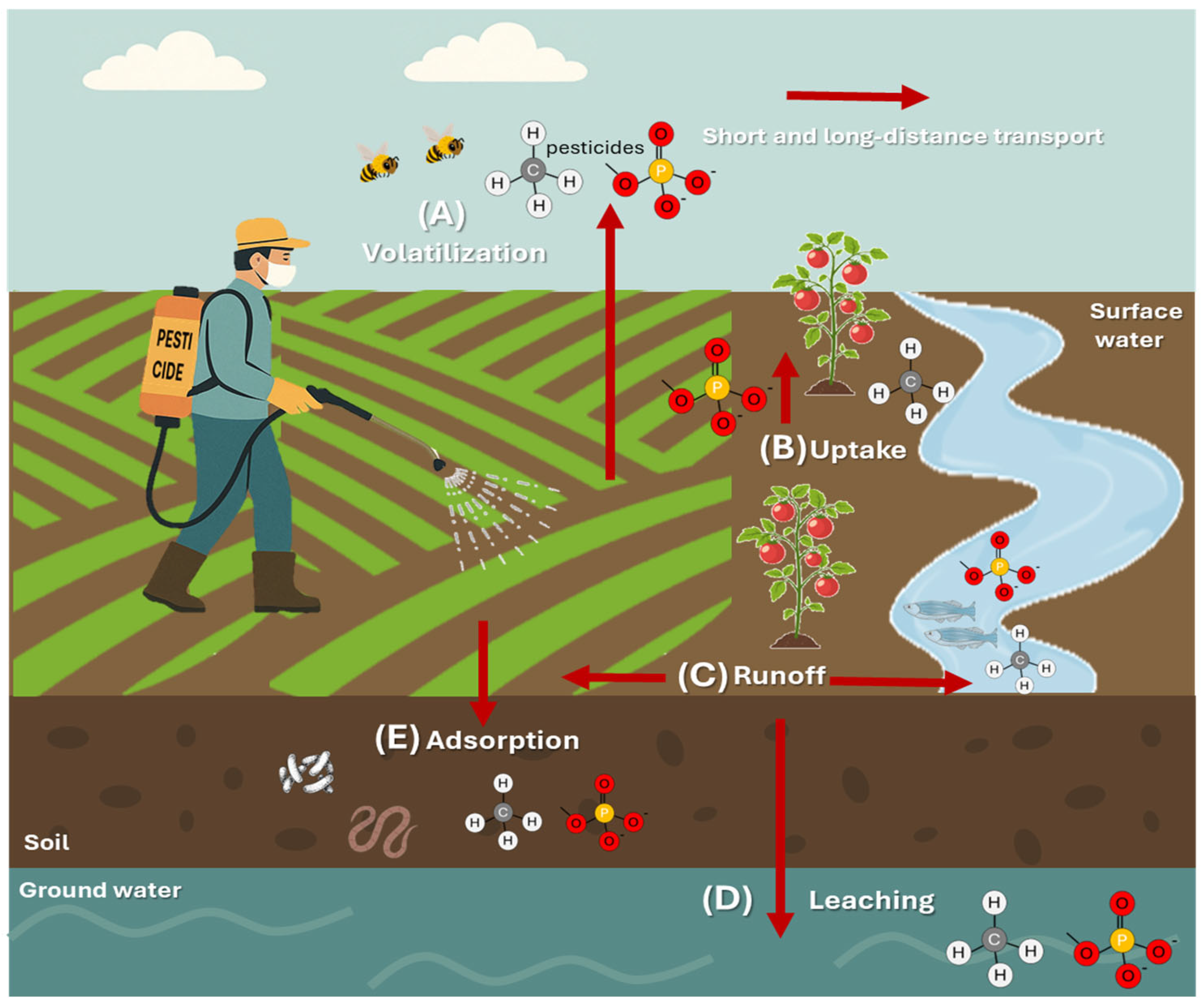 Agronomy 15 01878 g001