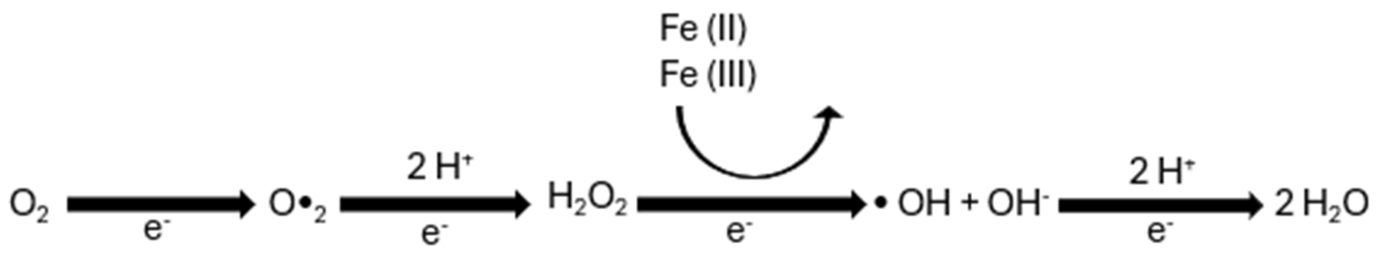 Agronomy 15 01878 g002