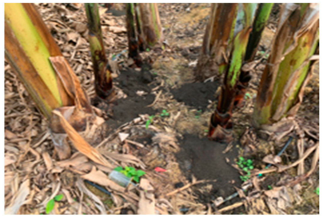 Agronomy 15 01885 g002