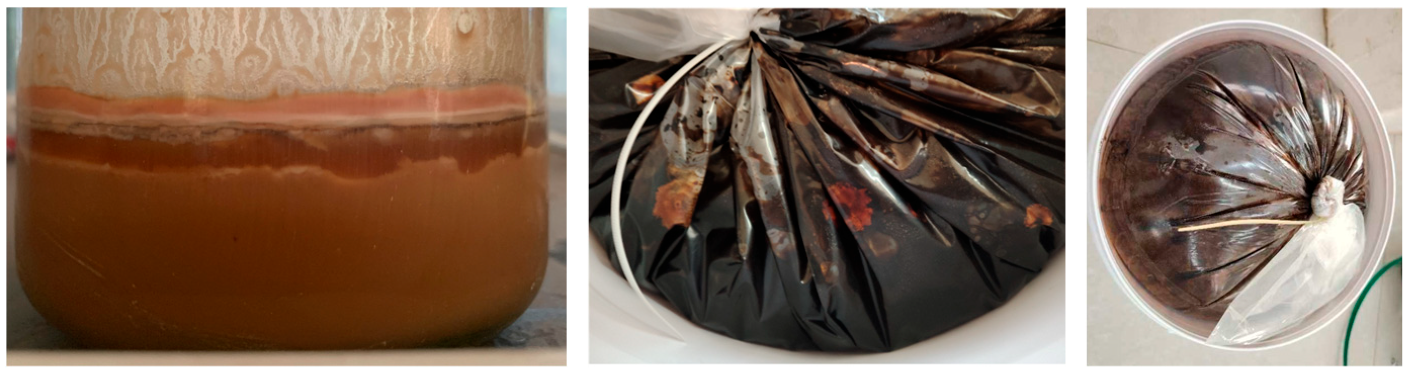 Agronomy 15 01885 g003