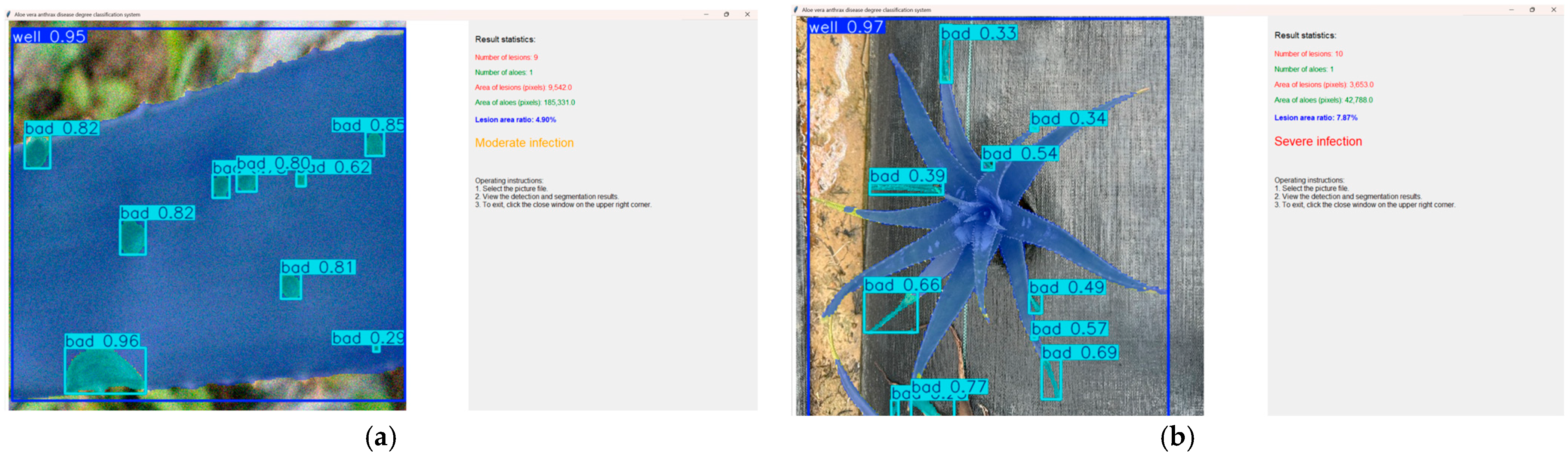 Agronomy 15 01896 g012