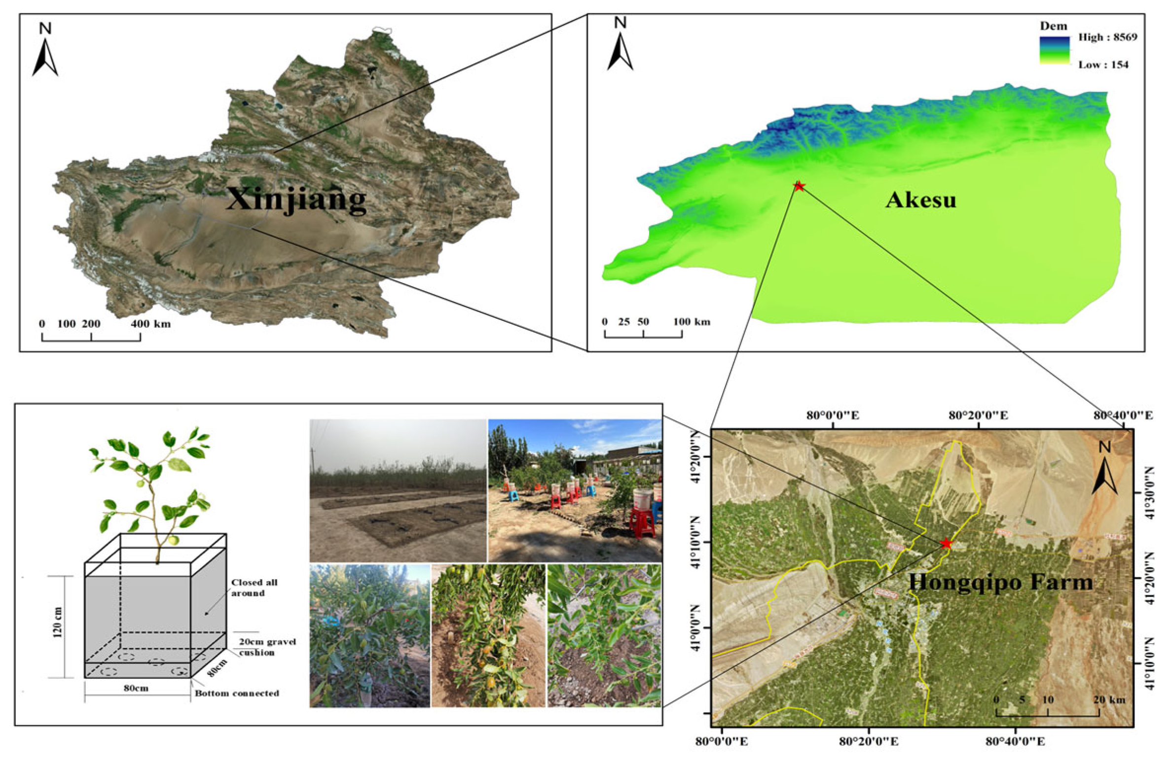 Agronomy 15 01898 g001 Agronomy 15 01898 g001