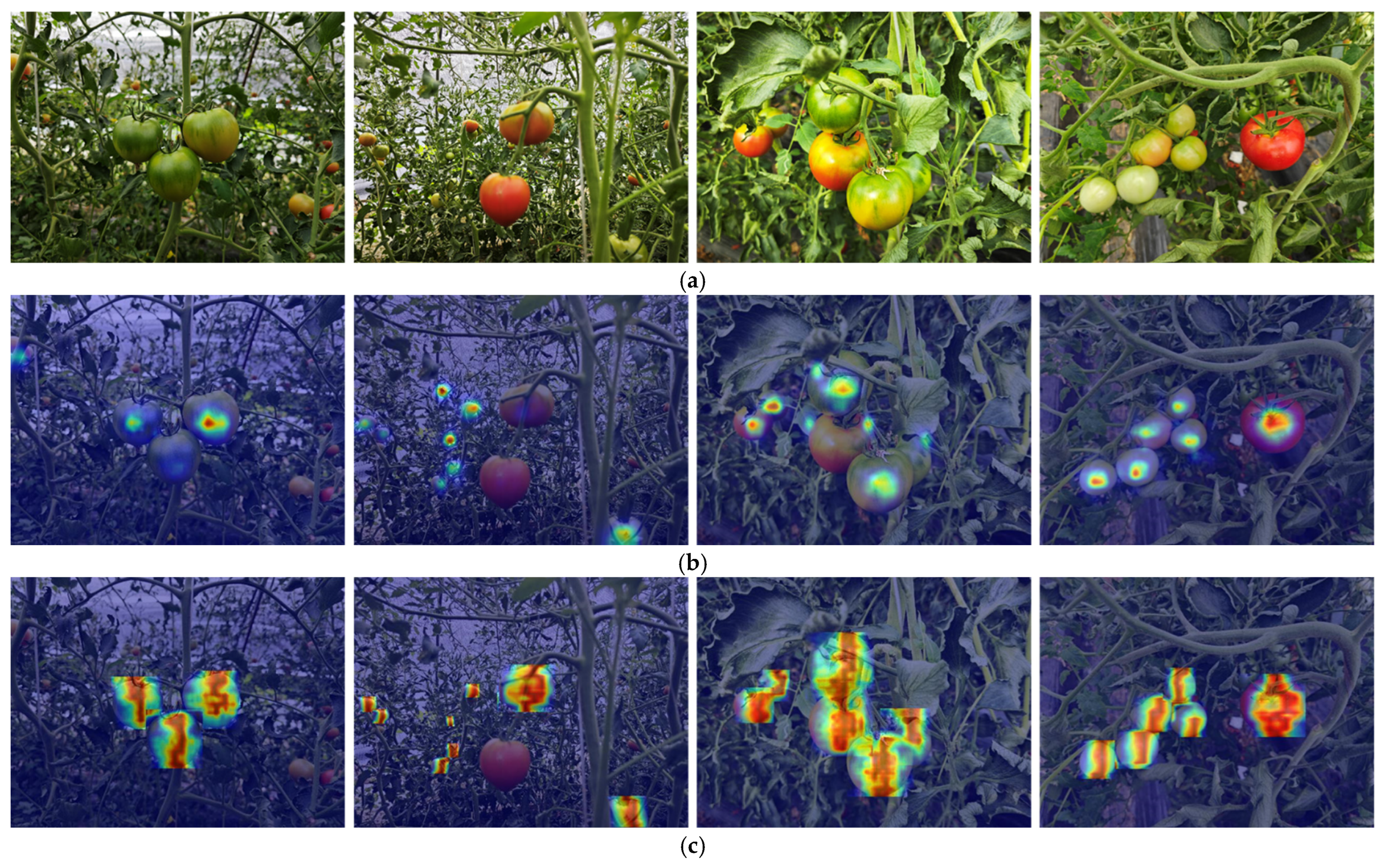 Agronomy 15 01899 g015 Agronomy 15 01899 g015