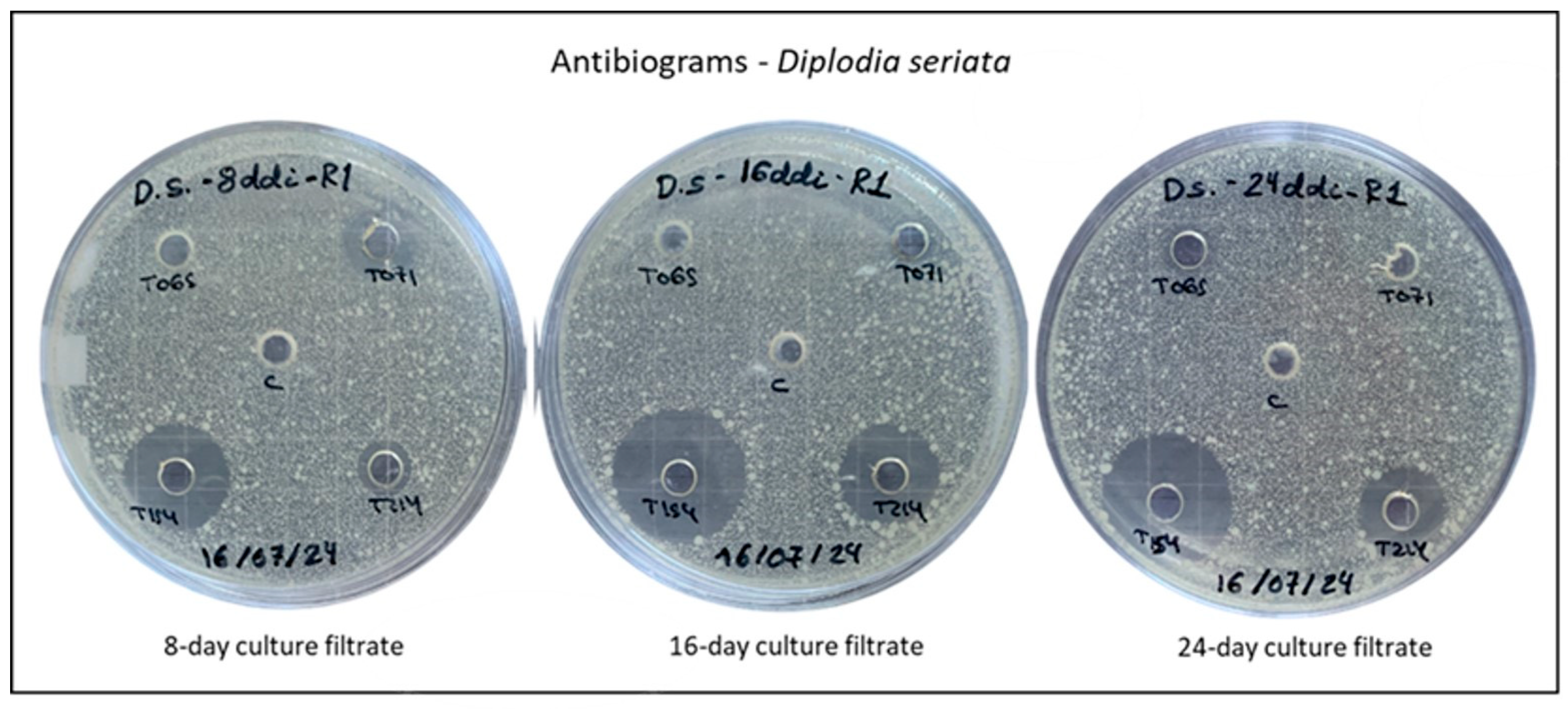 Agronomy 15 01901 g002 Agronomy 15 01901 g002