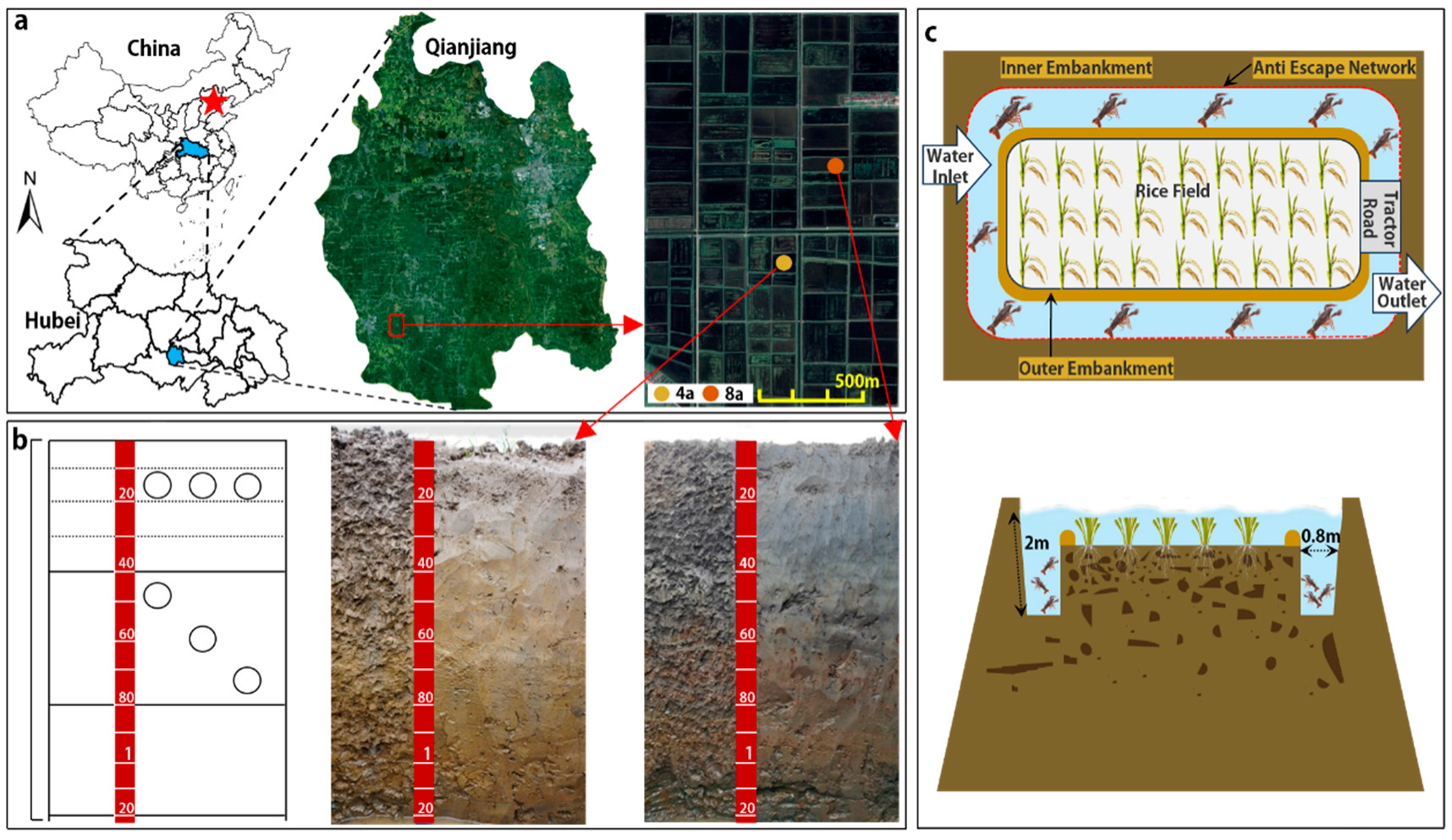 Agronomy 15 01907 g001