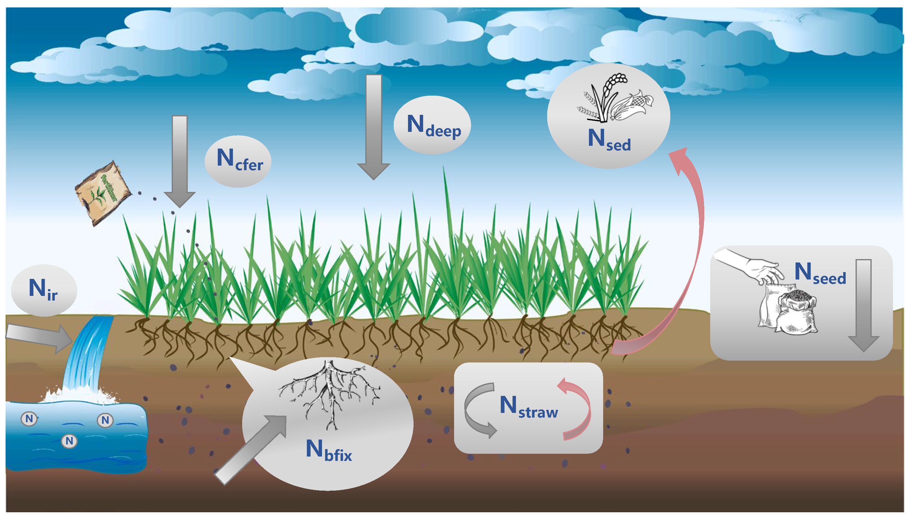Agronomy 15 01908 g001 Agronomy 15 01908 g001
