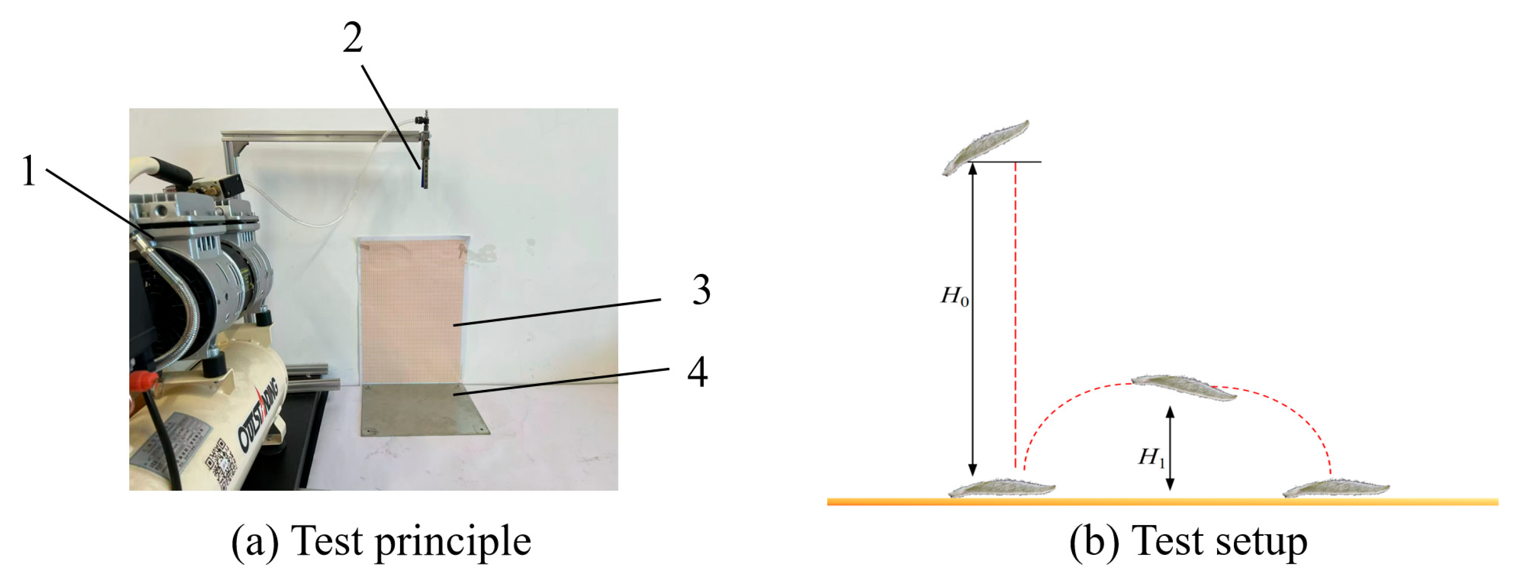 Agronomy 15 01909 g002 Agronomy 15 01909 g002