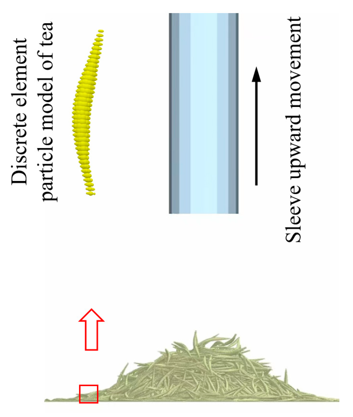 Agronomy 15 01909 g007 Agronomy 15 01909 g007