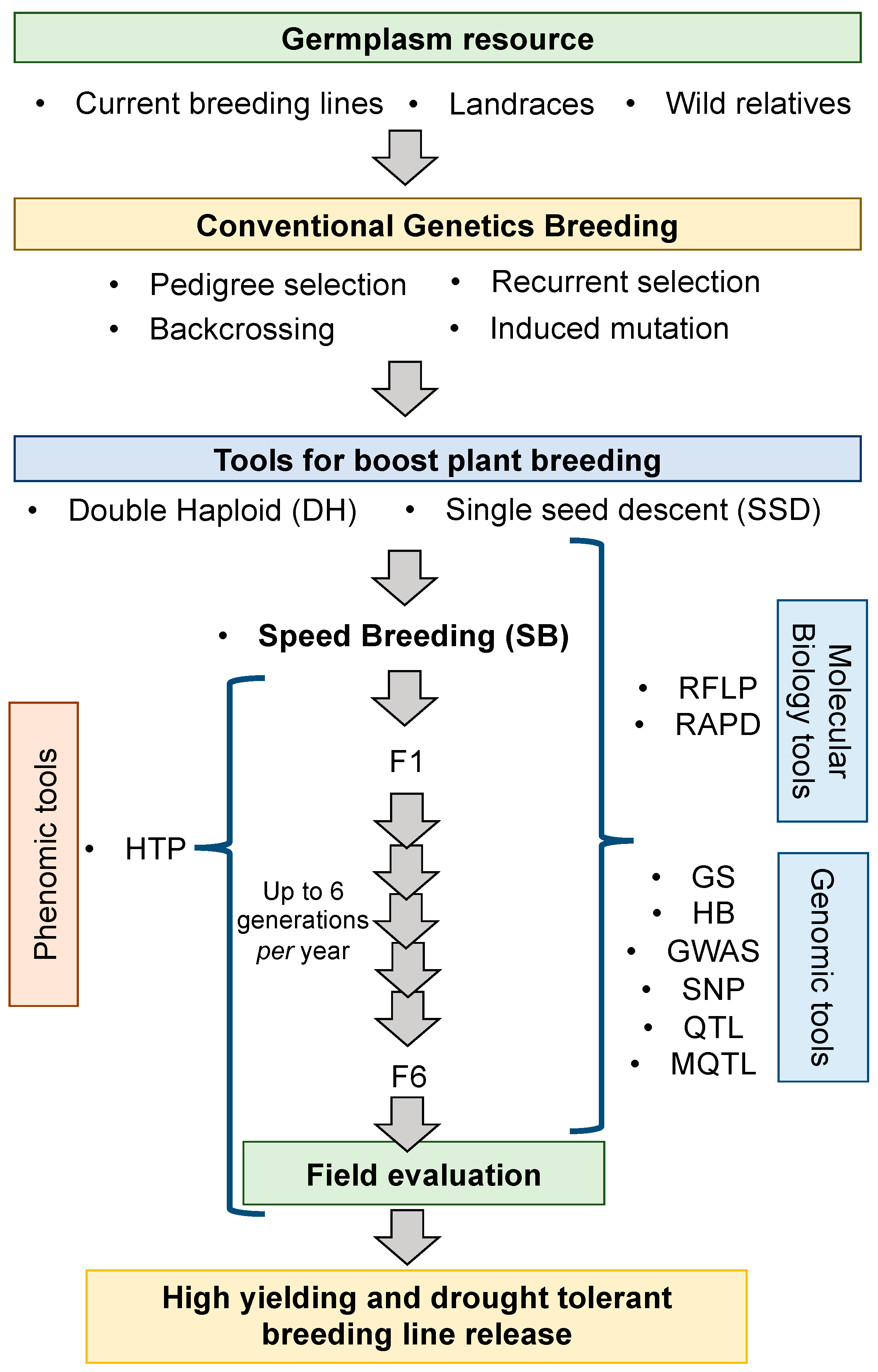 Agronomy 15 01912 g001 Agronomy 15 01912 g001
