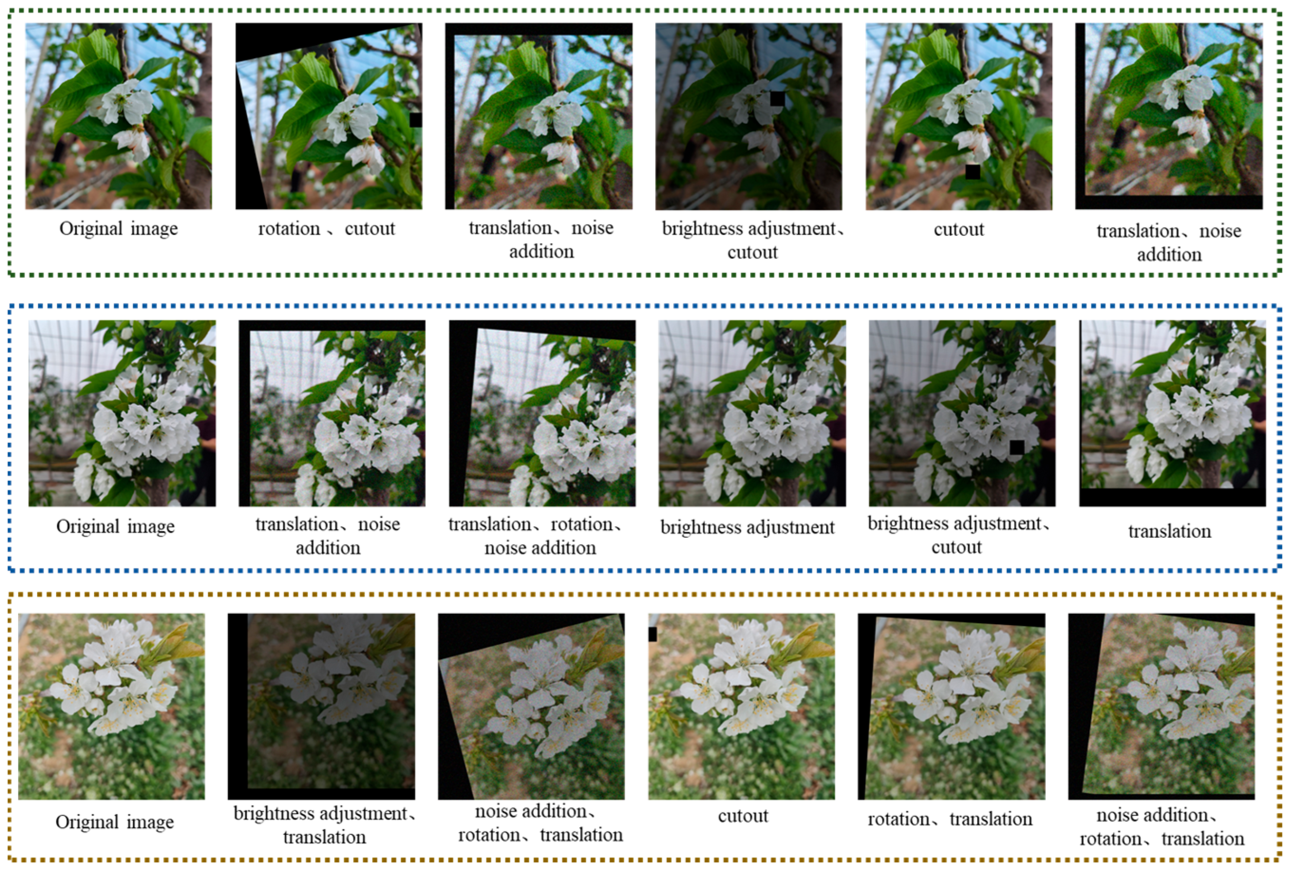 Agronomy 15 01915 g001