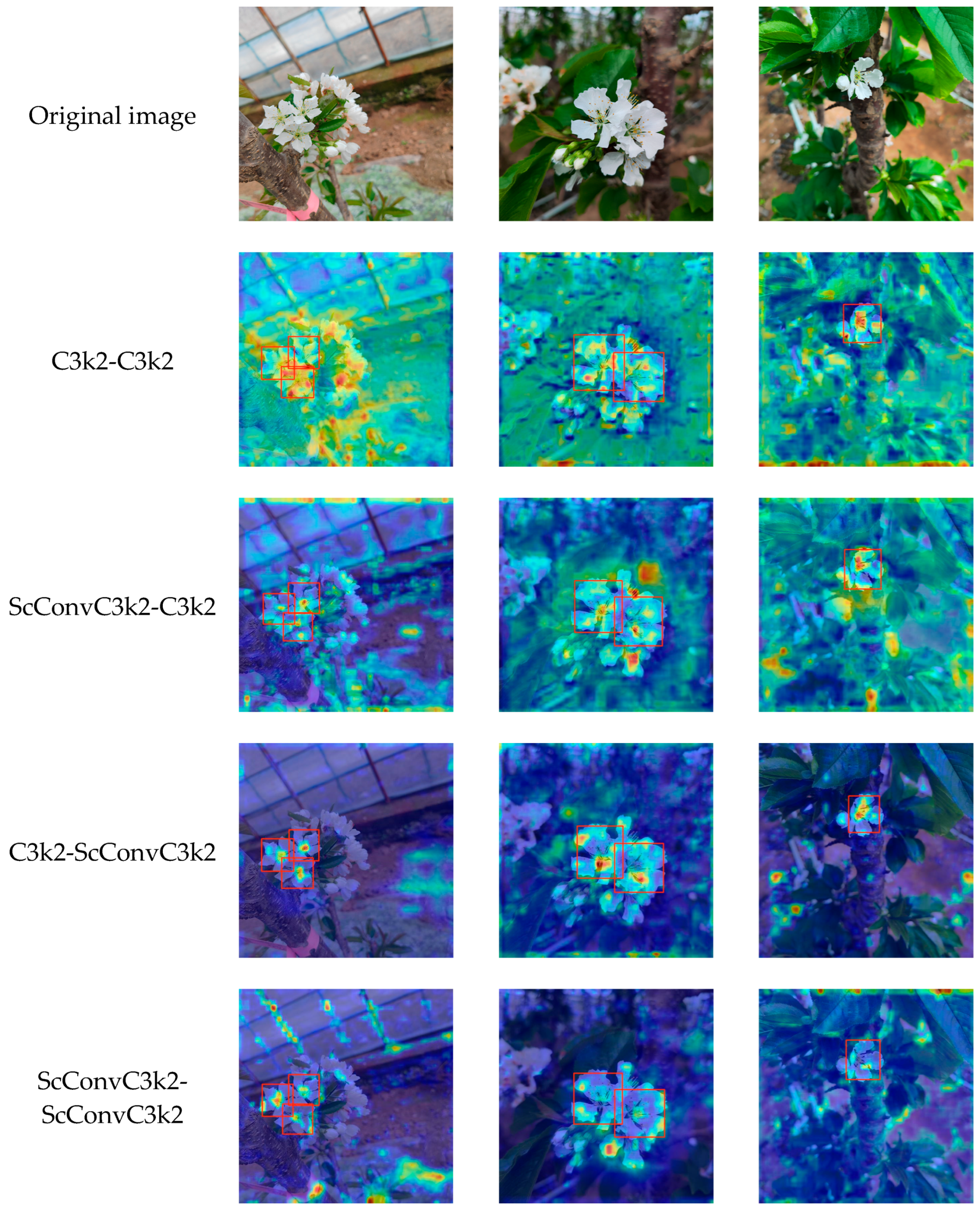 Agronomy 15 01915 g007