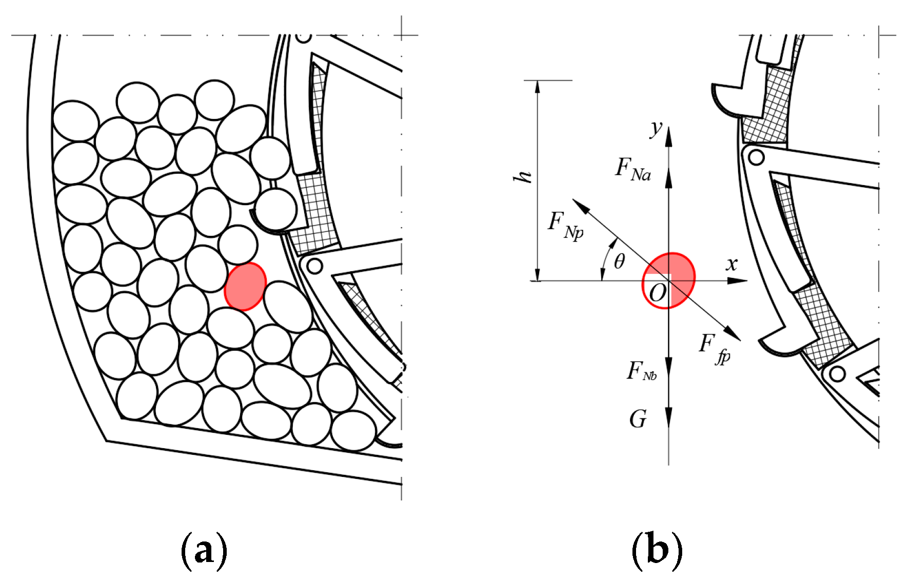 Agronomy 15 01917 g011 Agronomy 15 01917 g011