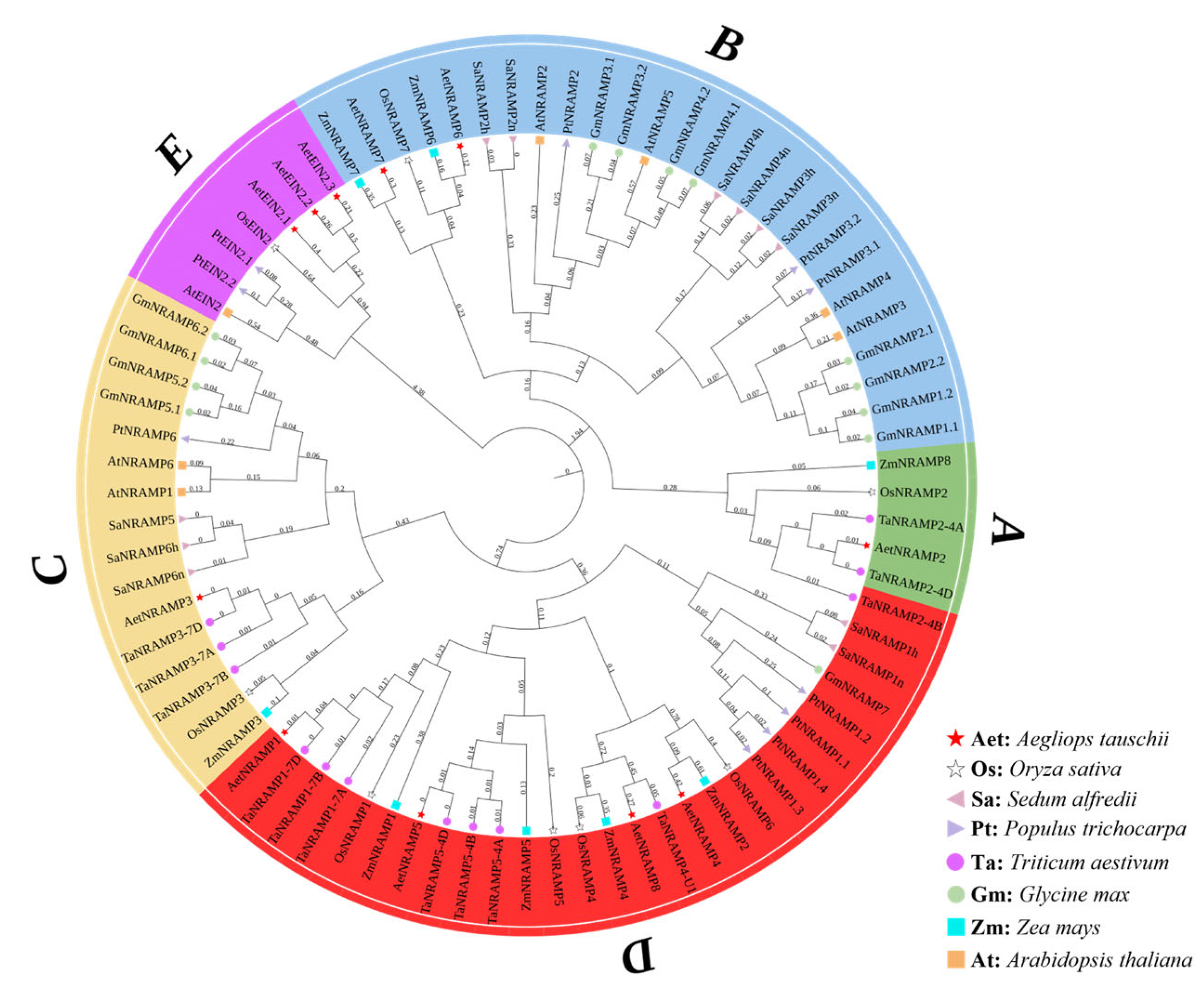 Agronomy 15 01919 g001 Agronomy 15 01919 g001