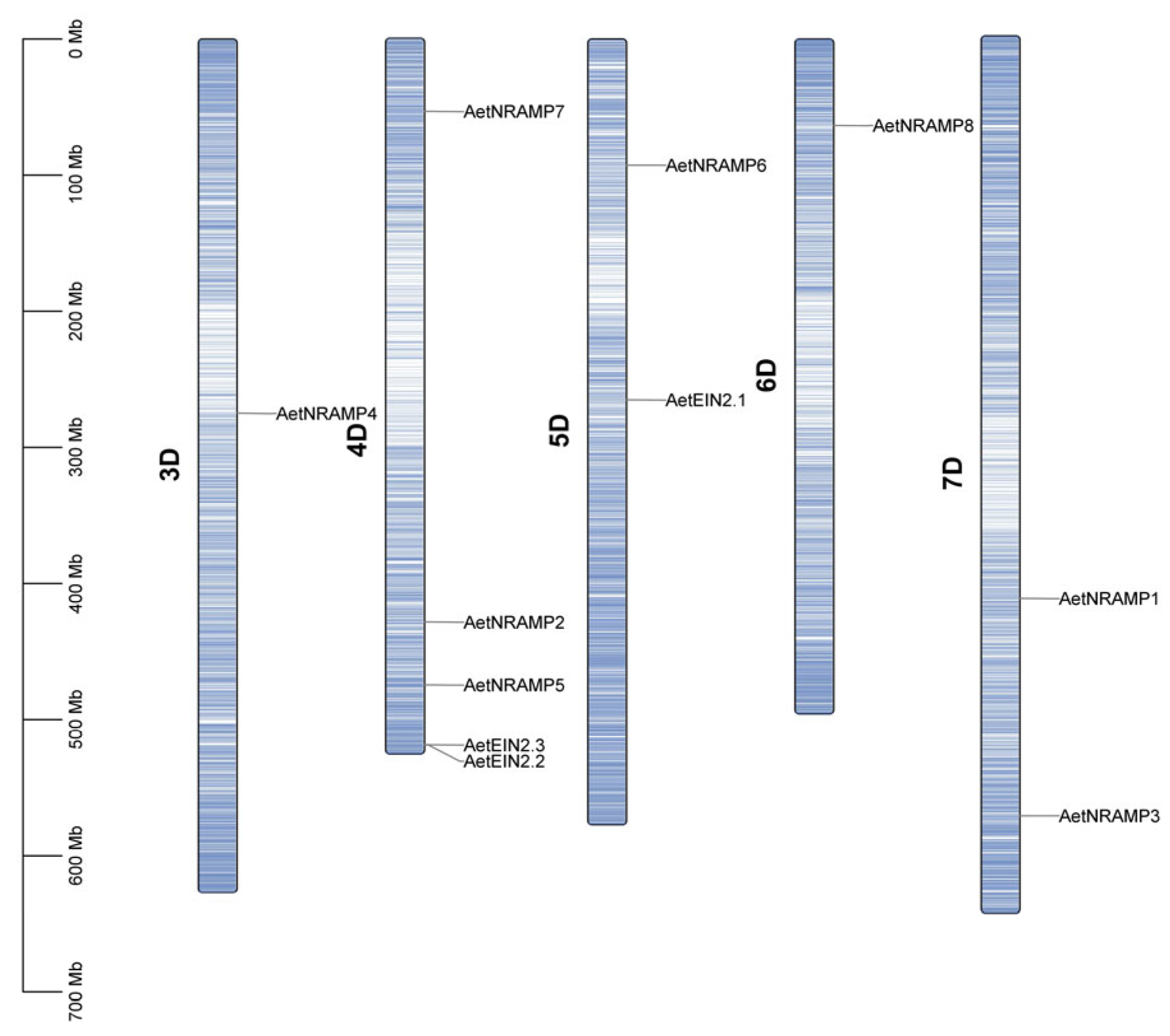 Agronomy 15 01919 g002 Agronomy 15 01919 g002