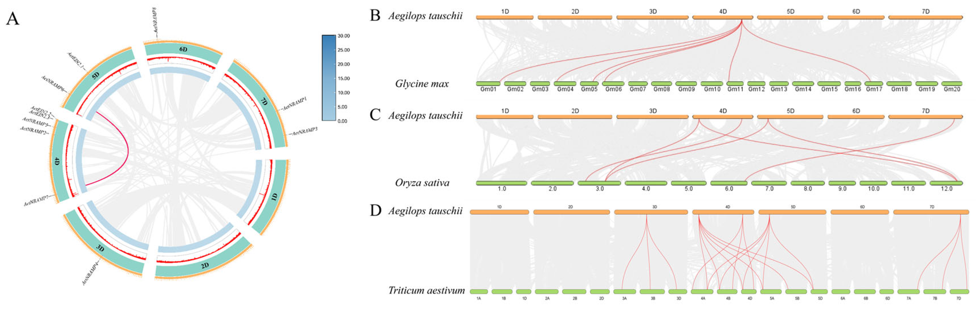 Agronomy 15 01919 g003 Agronomy 15 01919 g003