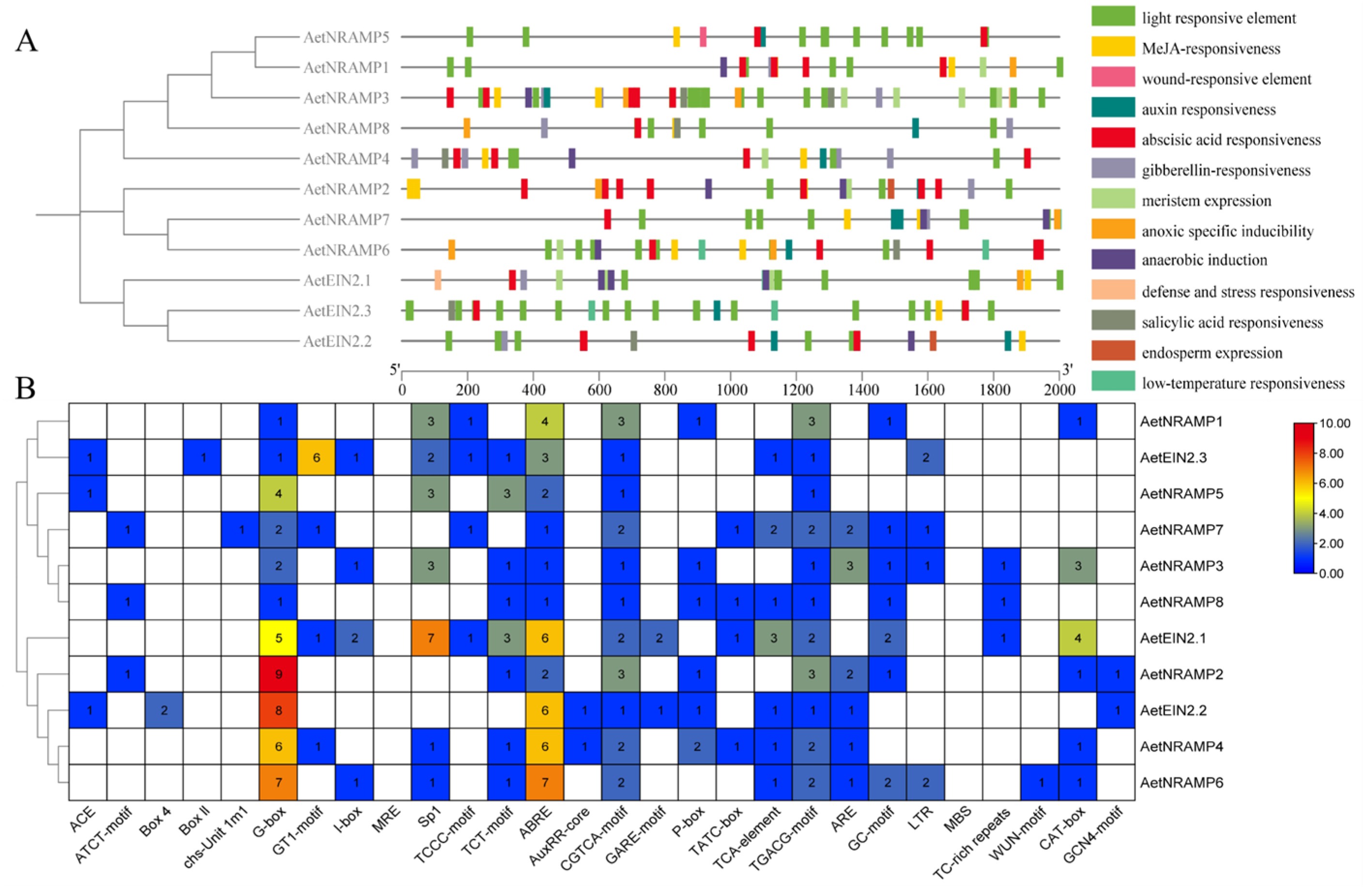 Agronomy 15 01919 g004 Agronomy 15 01919 g004