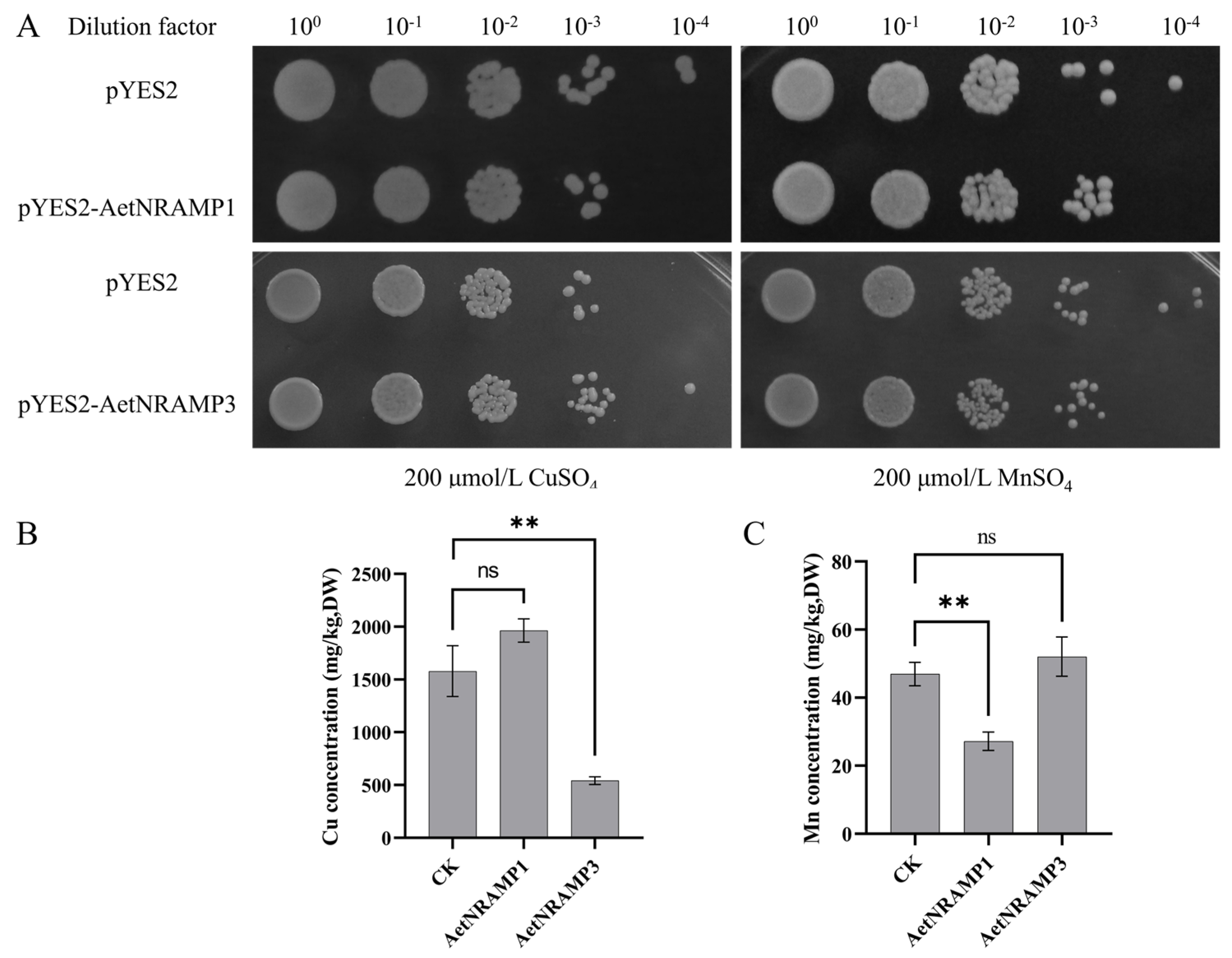 Agronomy 15 01919 g006 Agronomy 15 01919 g006