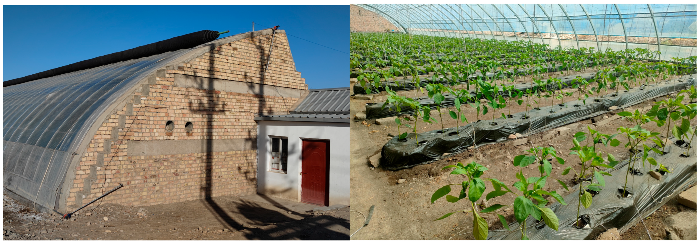 Agronomy 15 01921 g003 Agronomy 15 01921 g003