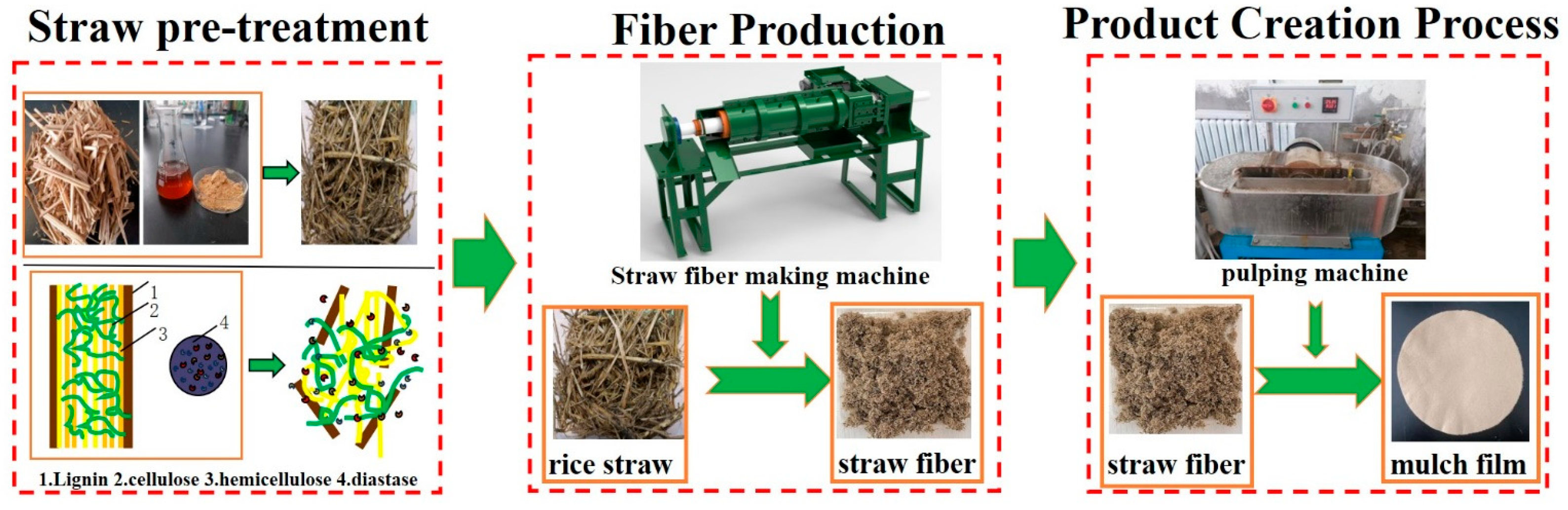 Agronomy 15 01923 g002 Agronomy 15 01923 g002