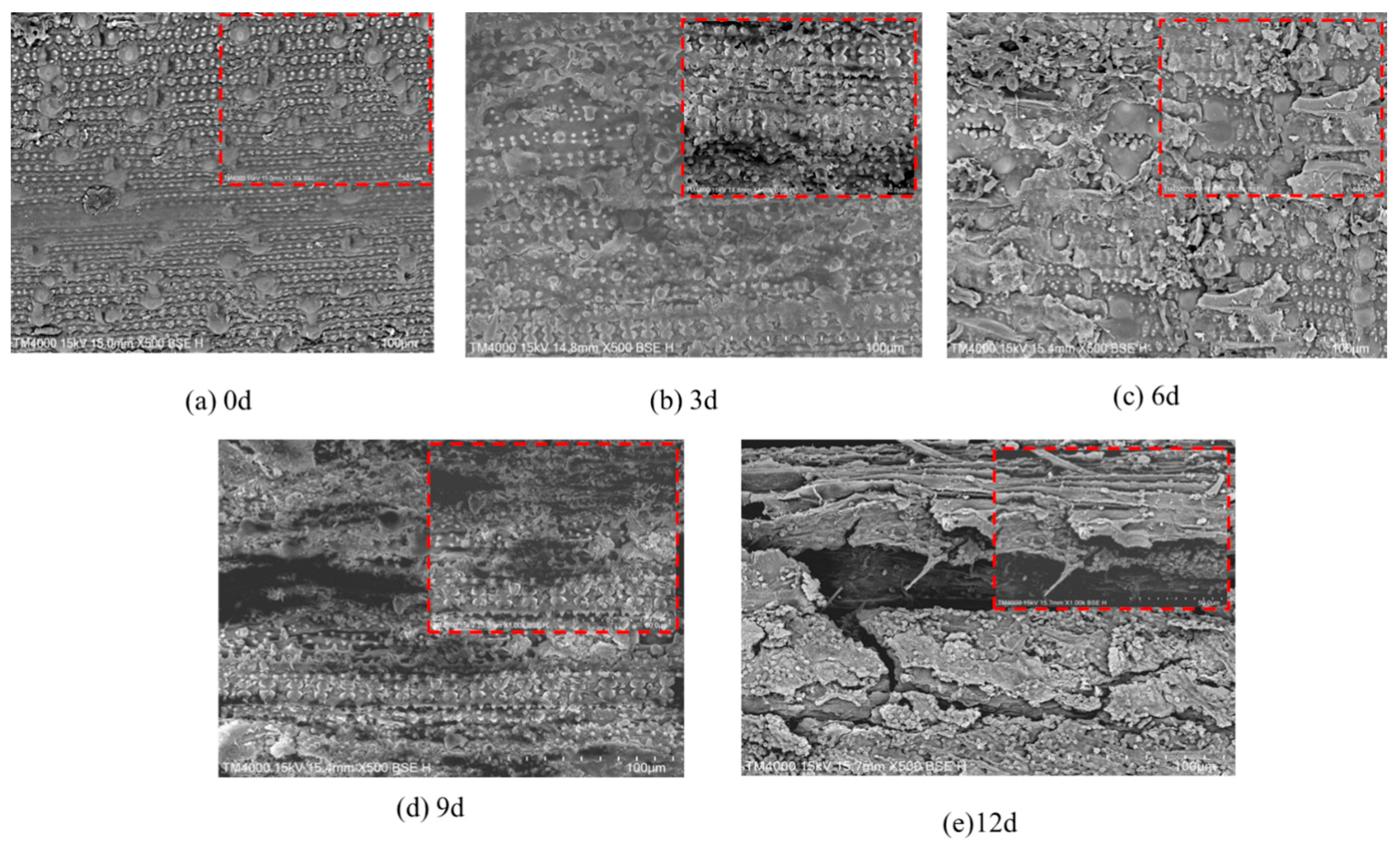 Agronomy 15 01923 g005 Agronomy 15 01923 g005