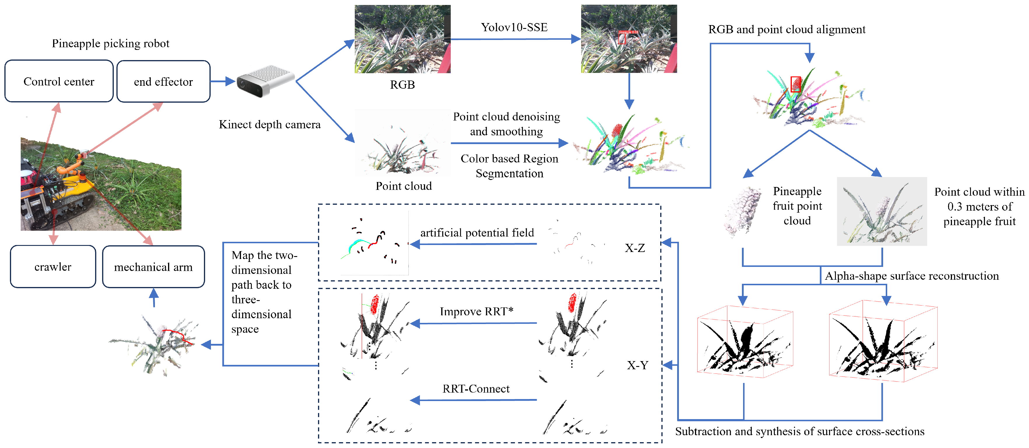 Agronomy 15 01924 g001