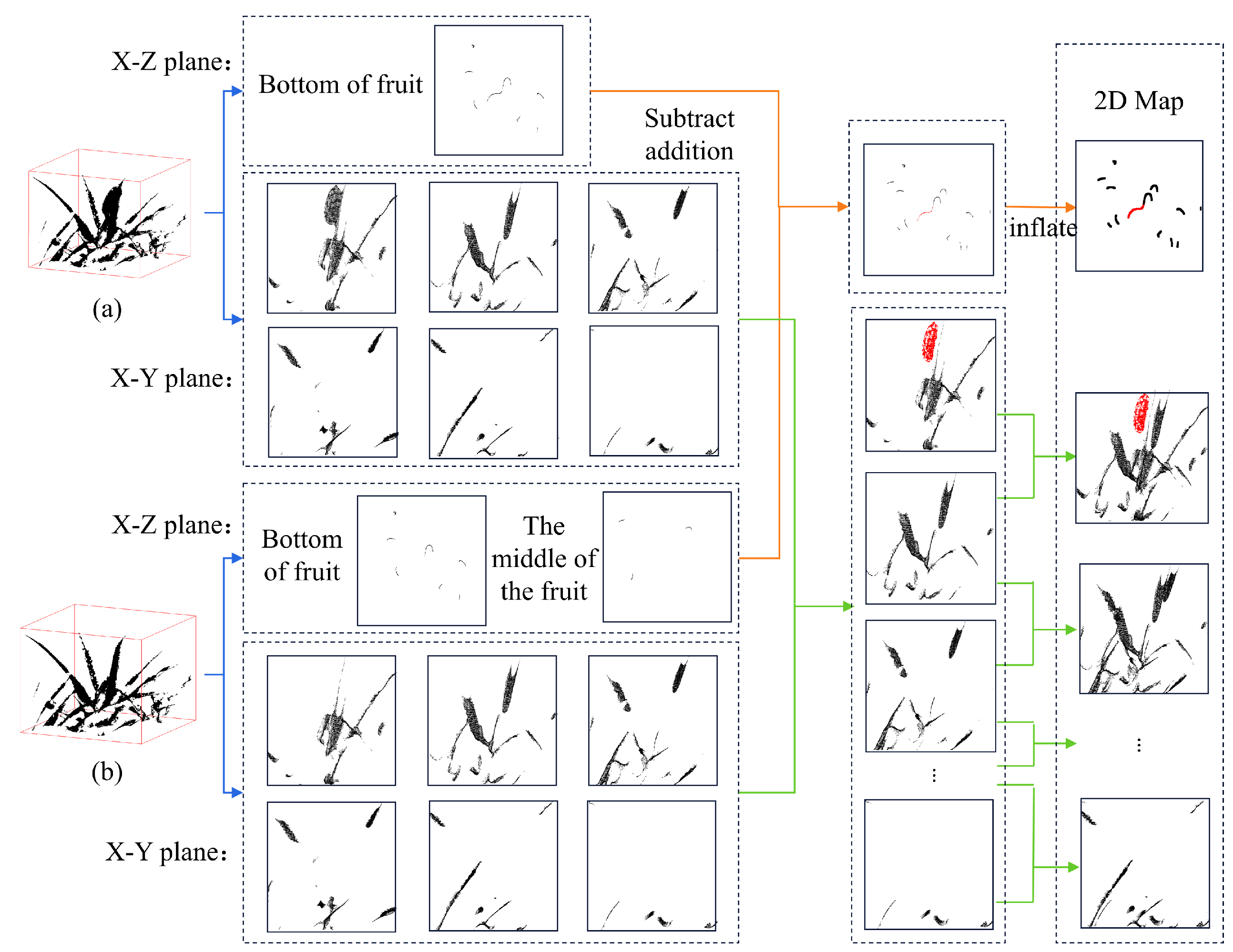 Agronomy 15 01924 g006