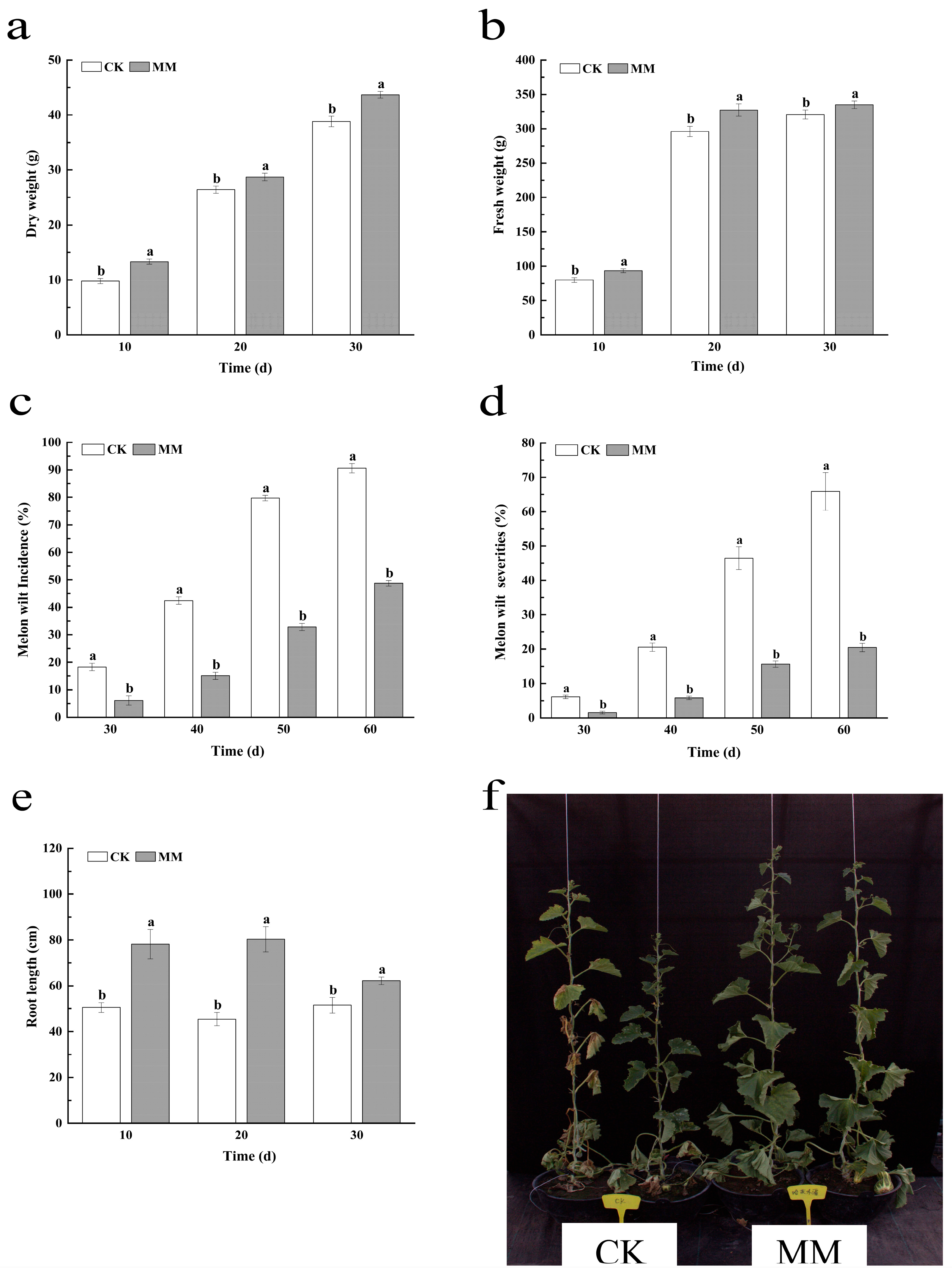 Agronomy 15 01931 g001