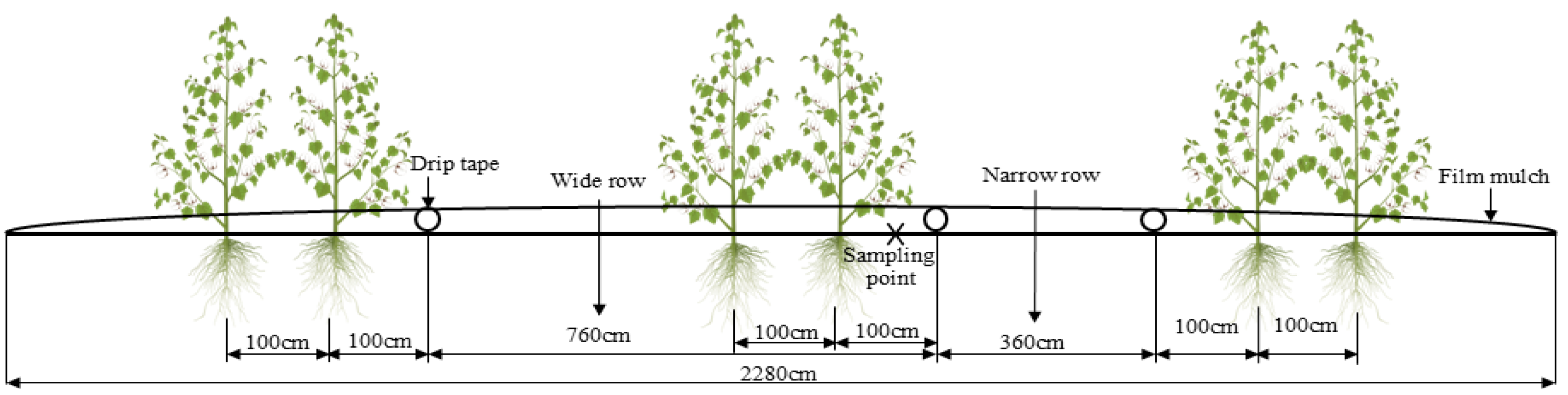 Agronomy 15 01932 g001