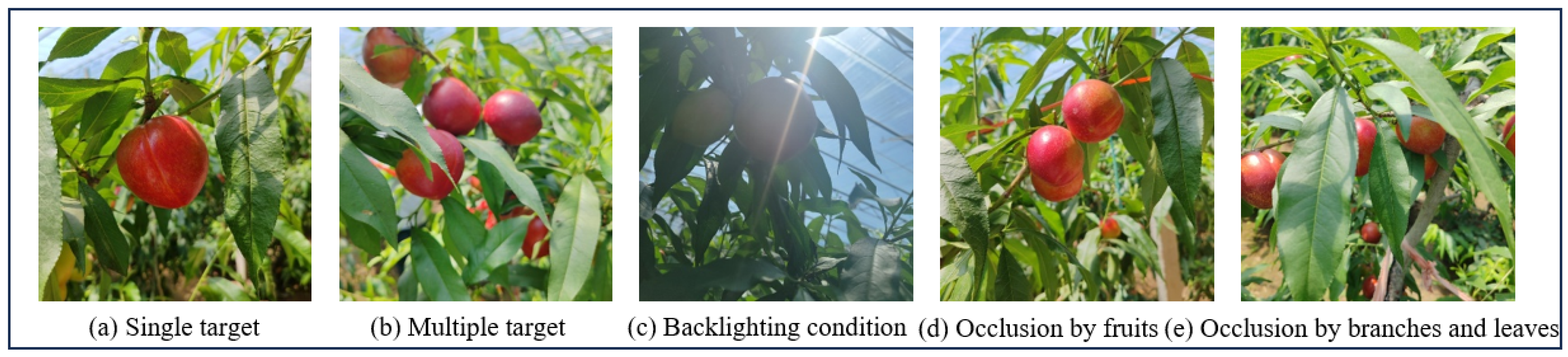 Agronomy 15 01934 g002 Agronomy 15 01934 g002