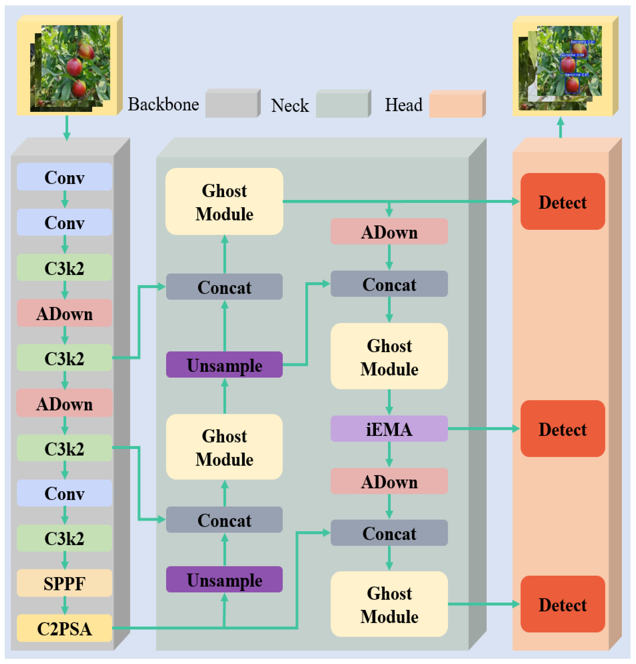 Agronomy 15 01934 g003 Agronomy 15 01934 g003