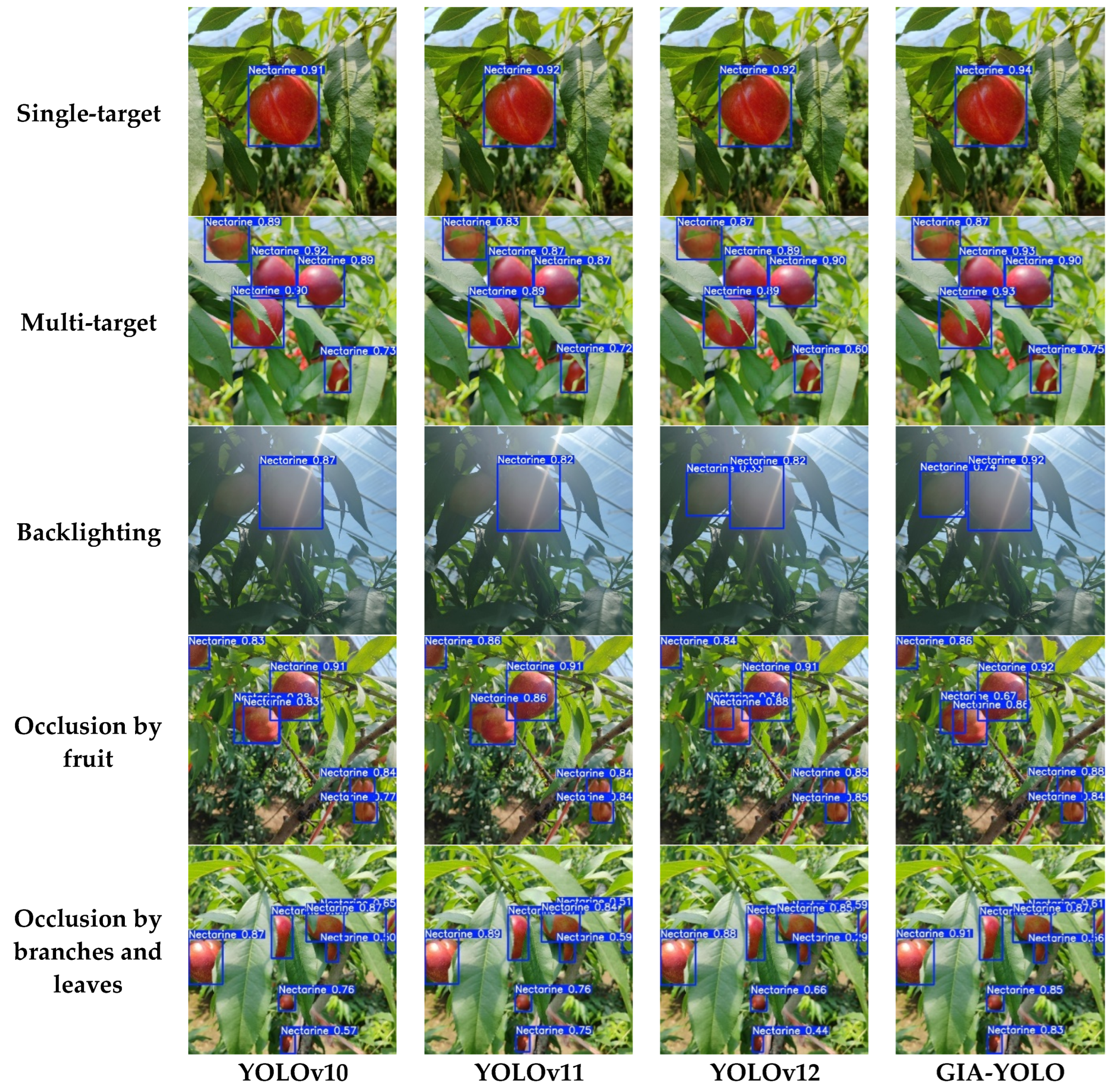 Agronomy 15 01934 g010 Agronomy 15 01934 g010