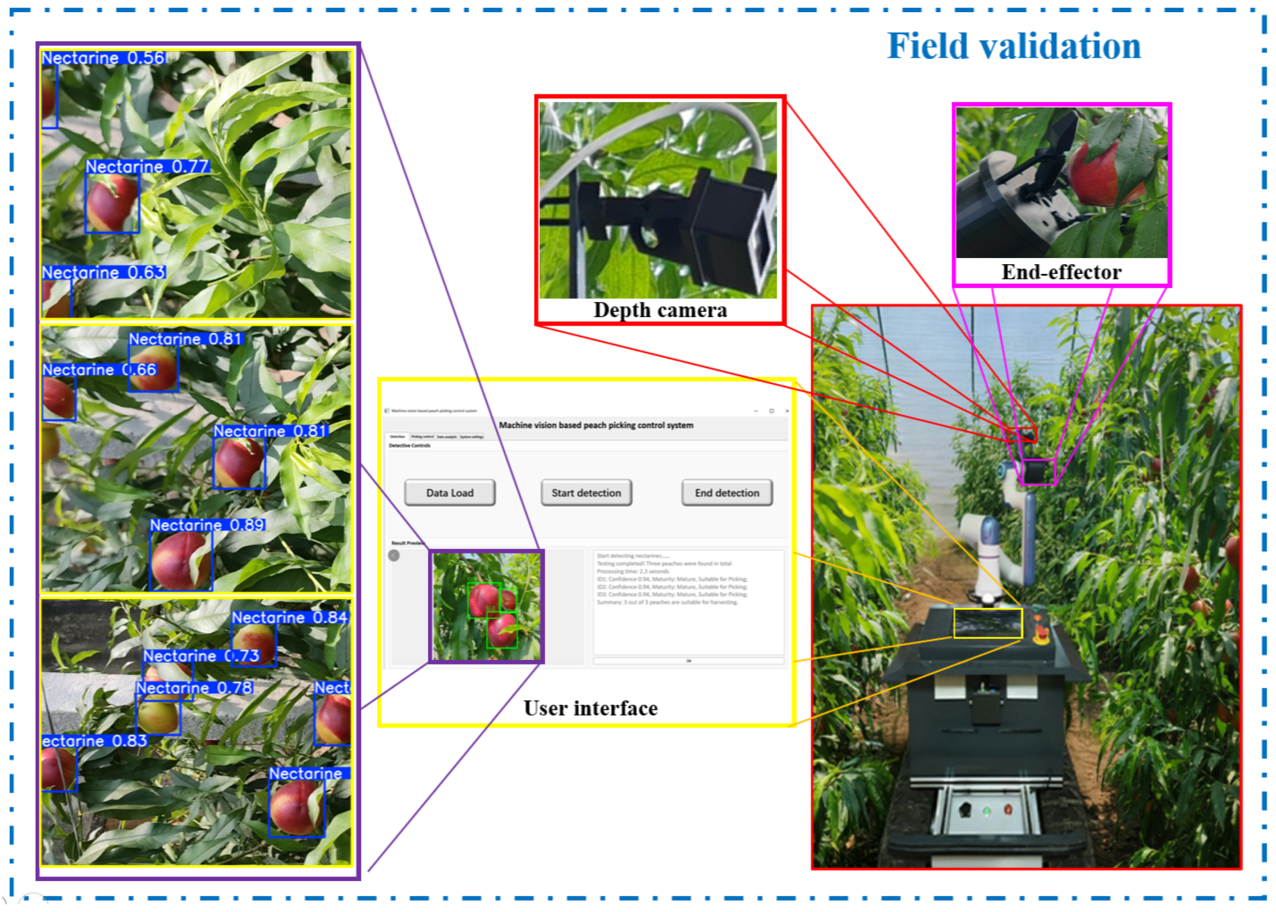 Agronomy 15 01934 g011 Agronomy 15 01934 g011