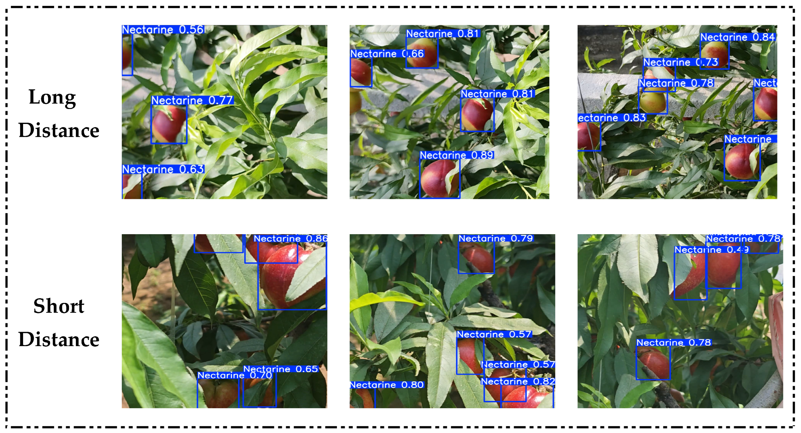 Agronomy 15 01934 g012 Agronomy 15 01934 g012