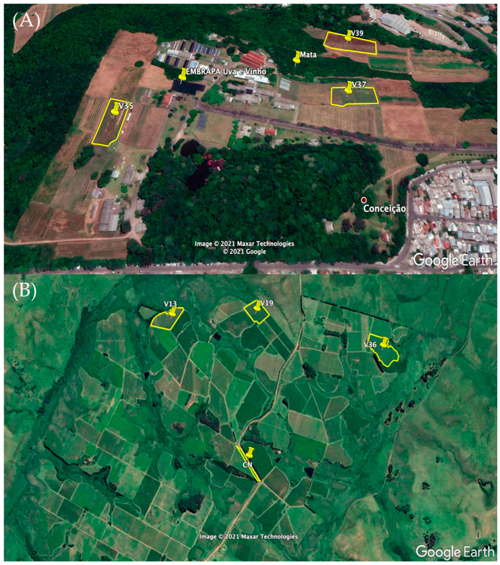 Agronomy 15 01937 g001 Agronomy 15 01937 g001