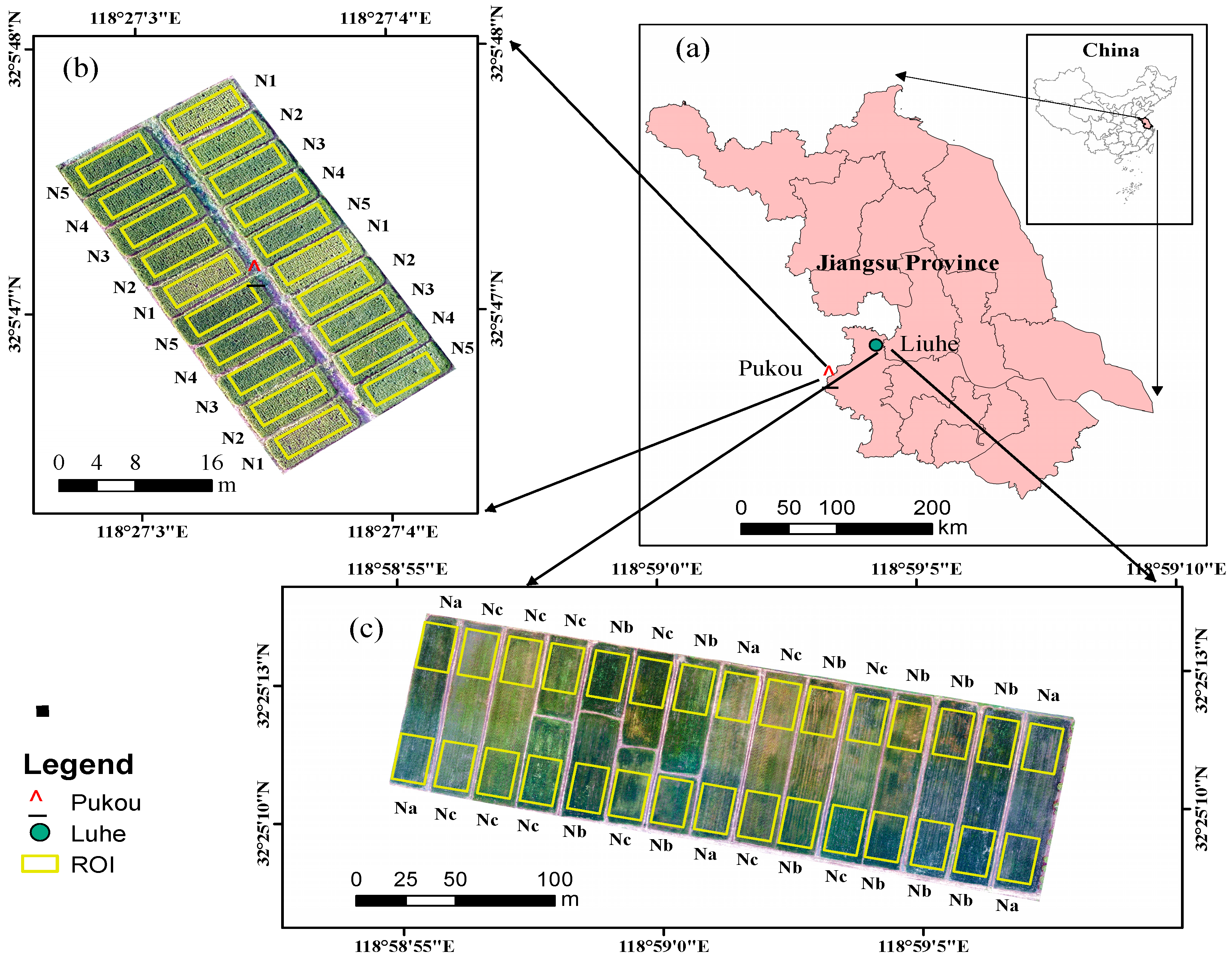 Agronomy 15 01946 g001