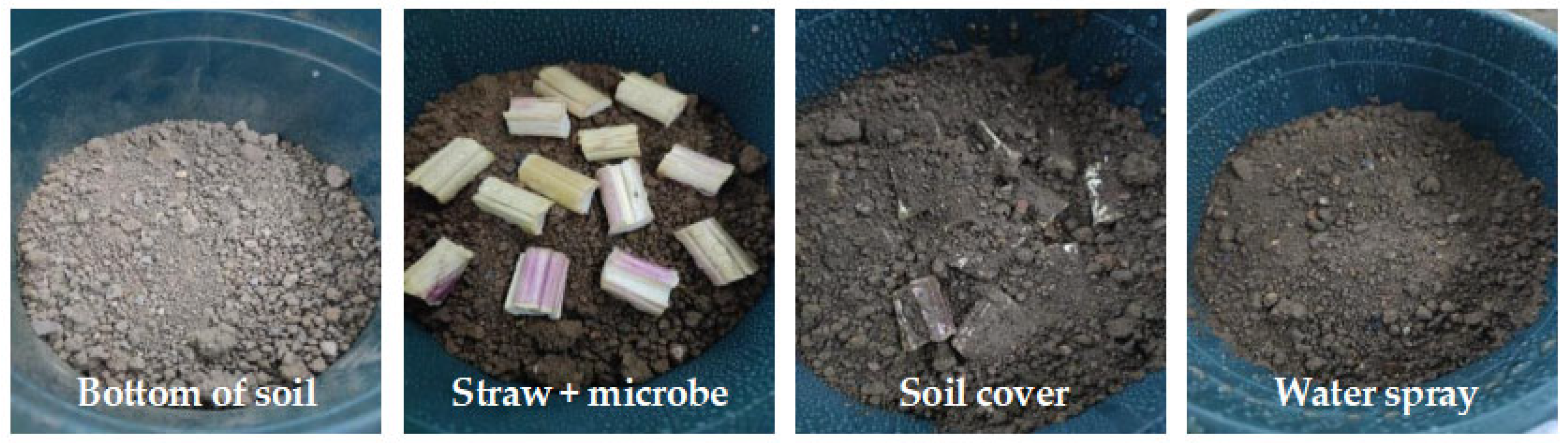 Agronomy 15 01947 g002 Agronomy 15 01947 g002