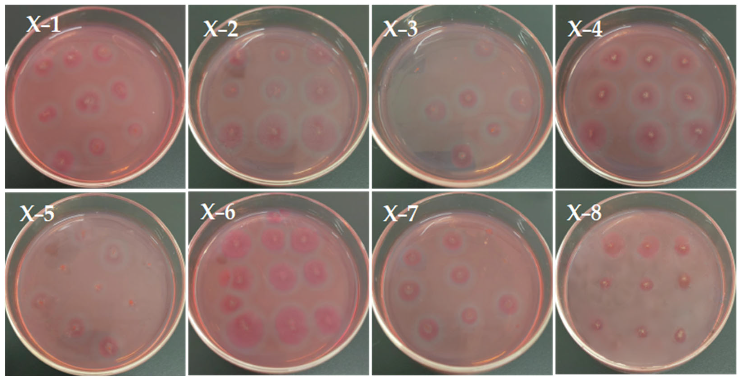 Agronomy 15 01947 g003 Agronomy 15 01947 g003