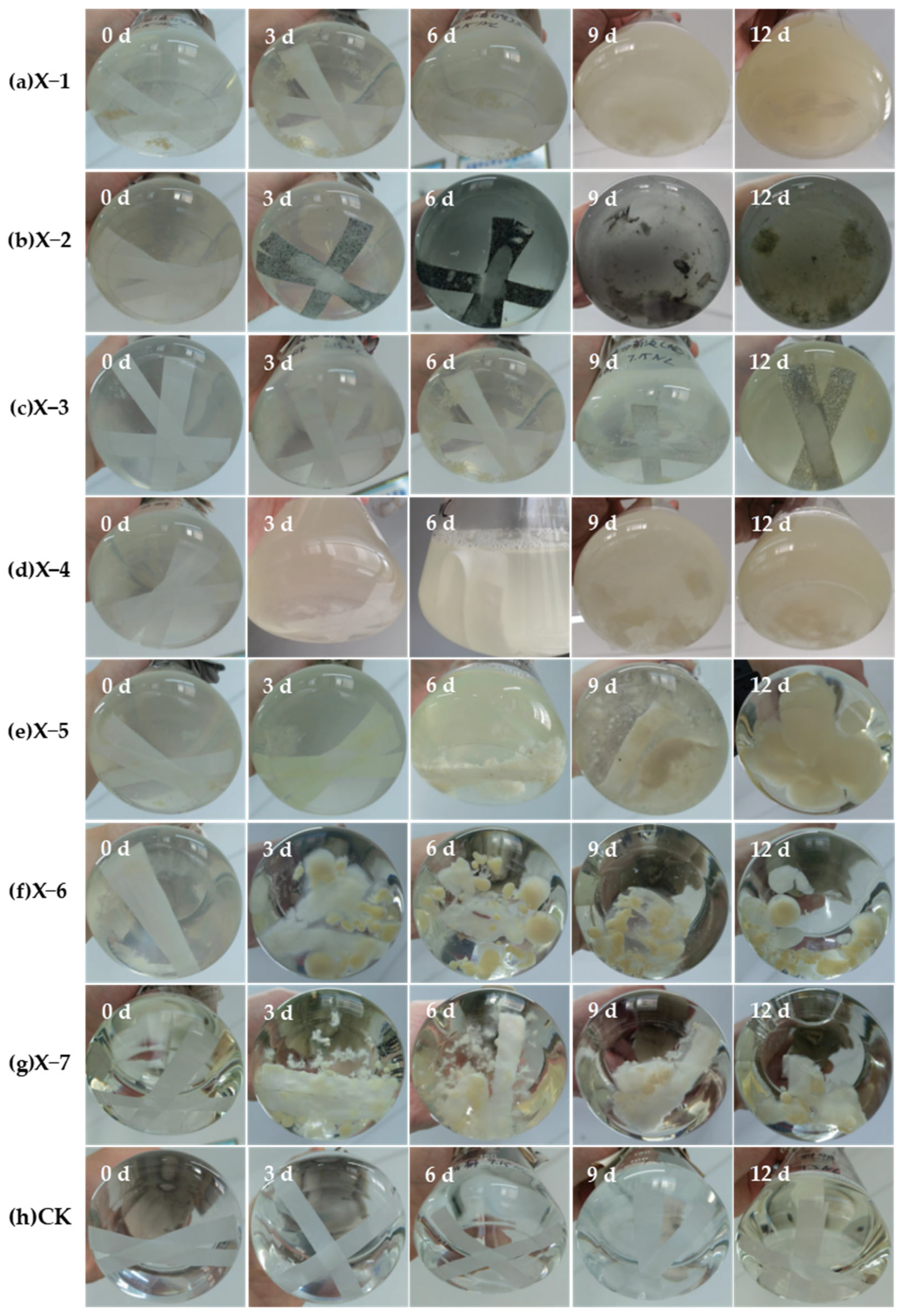 Agronomy 15 01947 g004 Agronomy 15 01947 g004