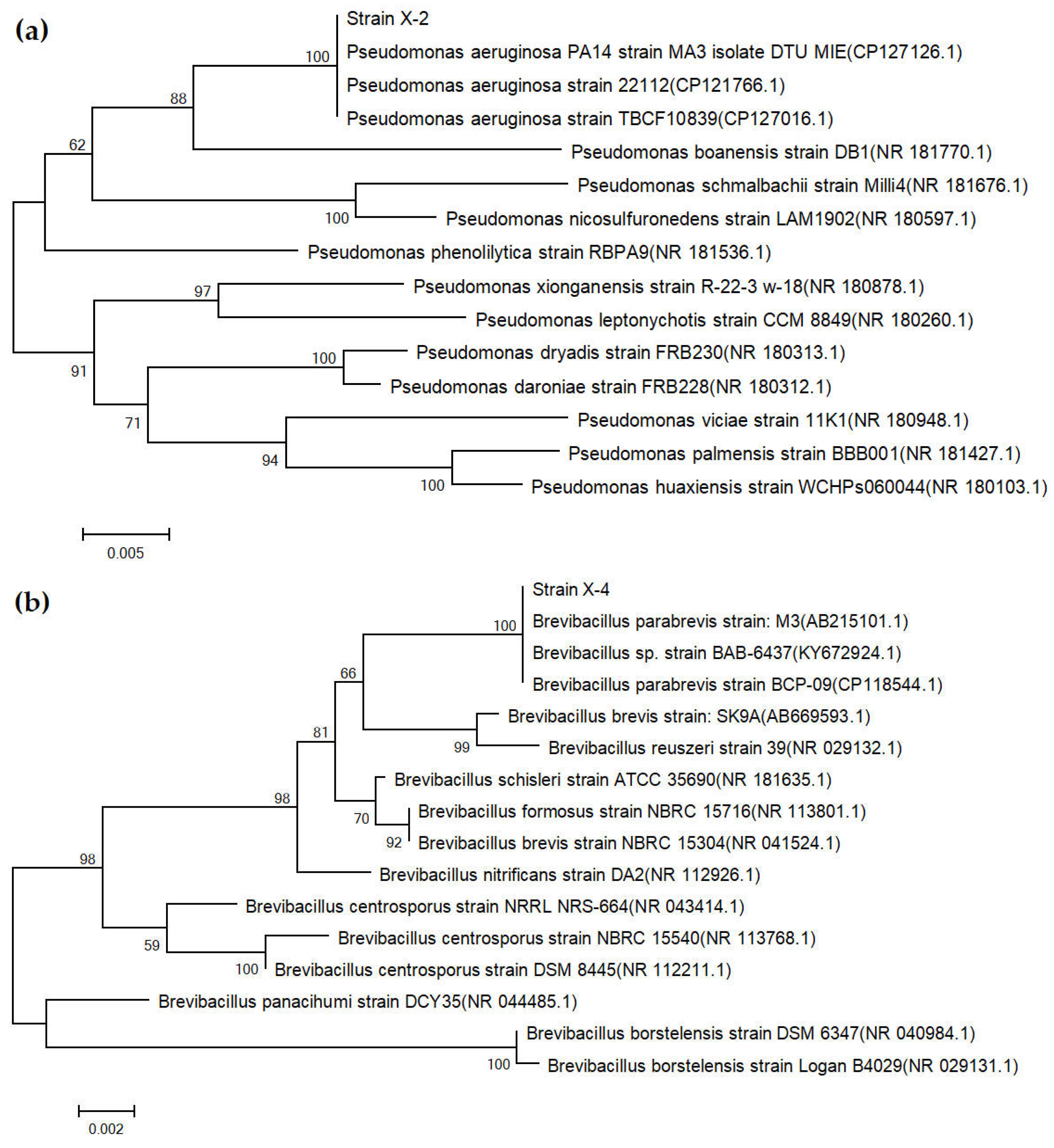 Agronomy 15 01947 g005a Agronomy 15 01947 g005a