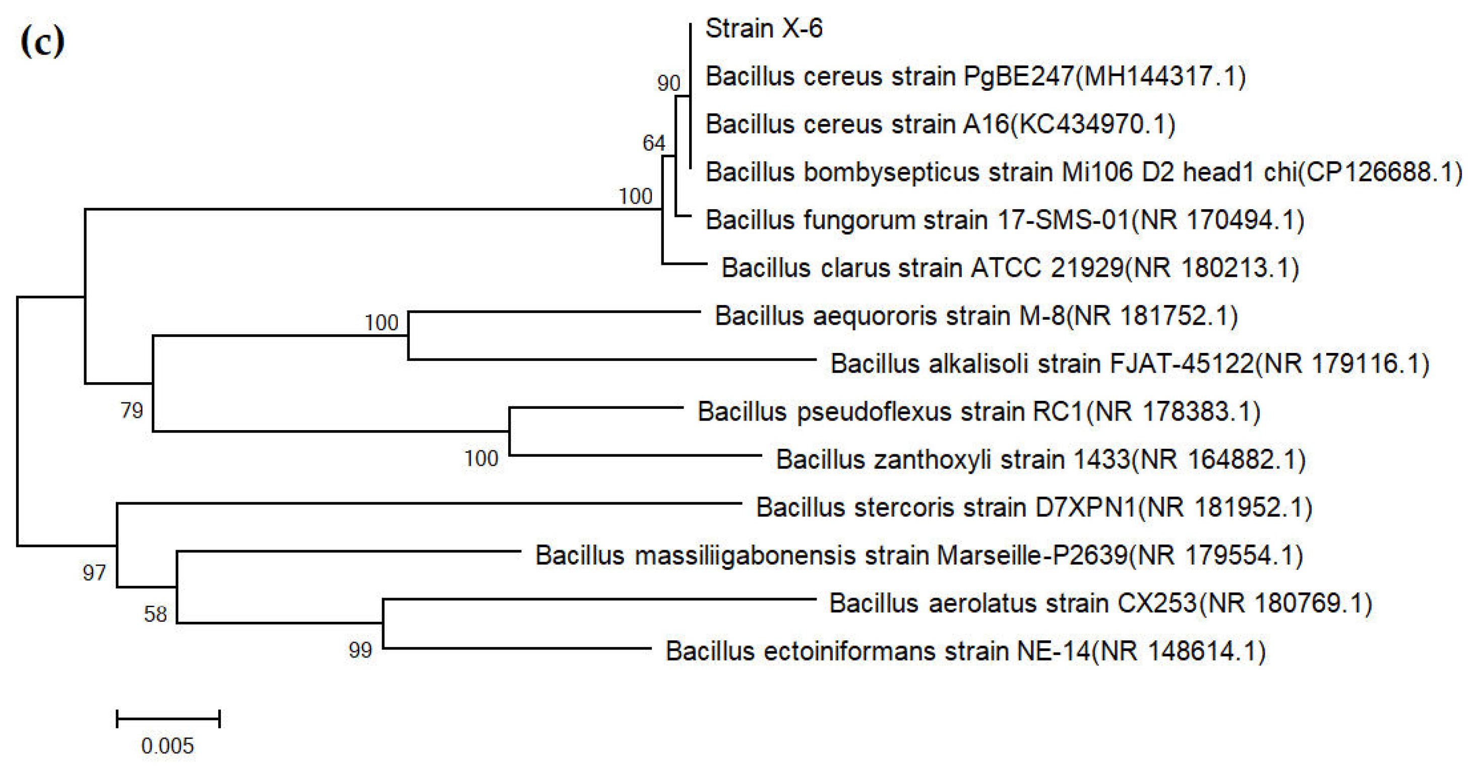 Agronomy 15 01947 g005b Agronomy 15 01947 g005b