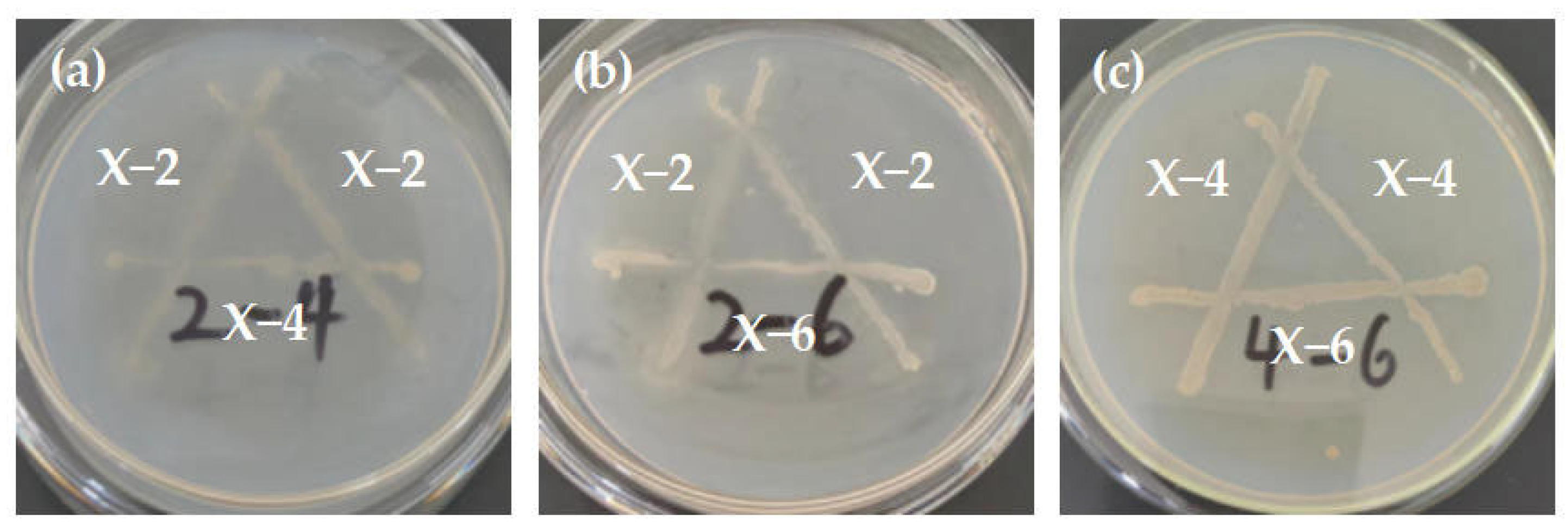 Agronomy 15 01947 g006 Agronomy 15 01947 g006
