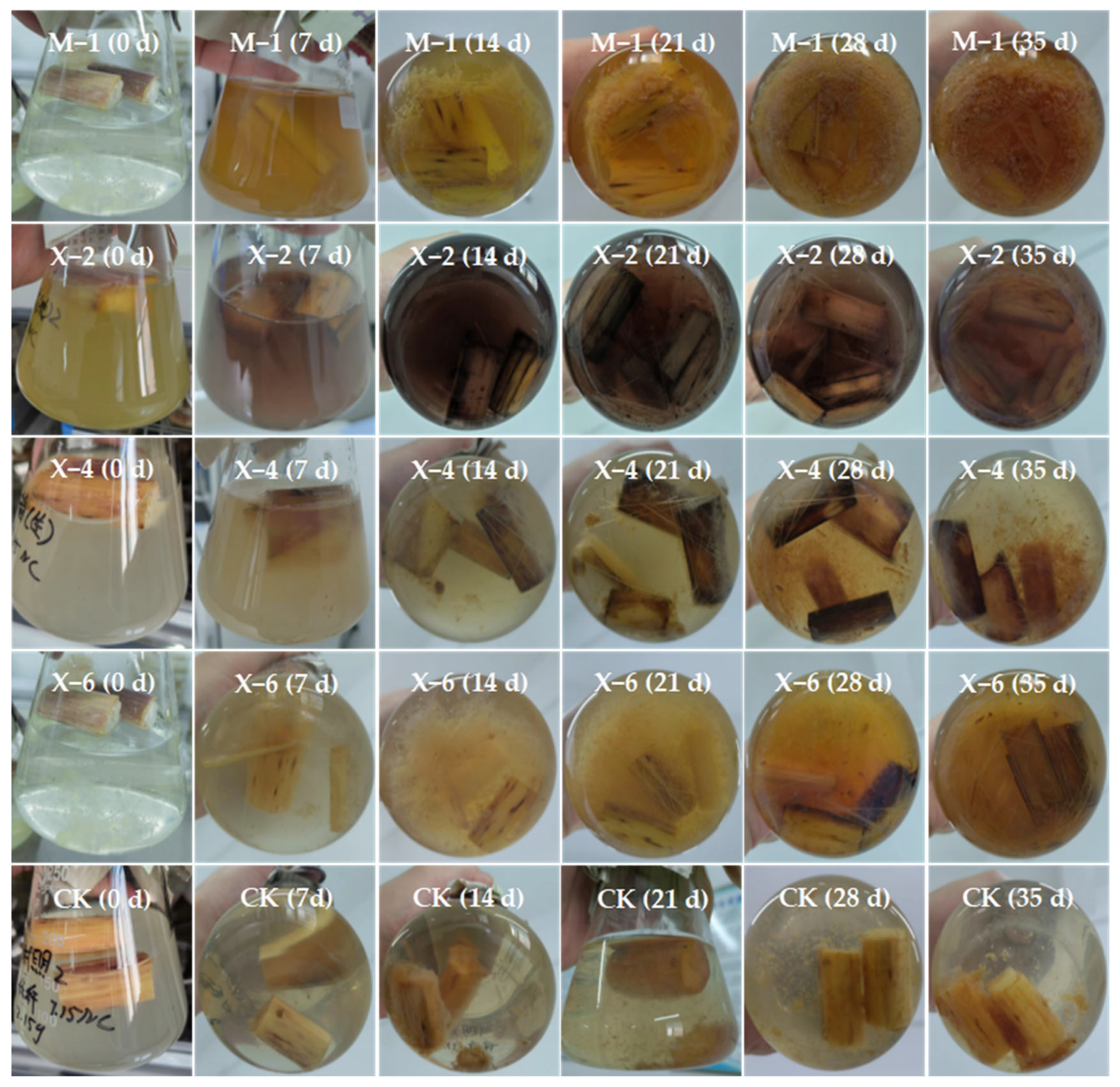 Agronomy 15 01947 g008 Agronomy 15 01947 g008