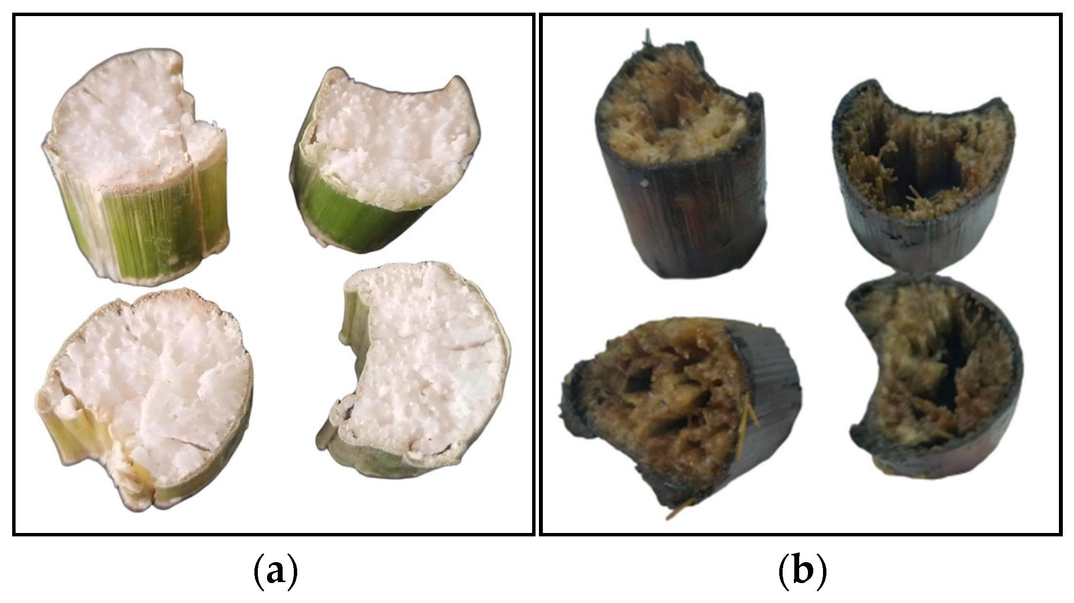 Agronomy 15 01947 g010 Agronomy 15 01947 g010