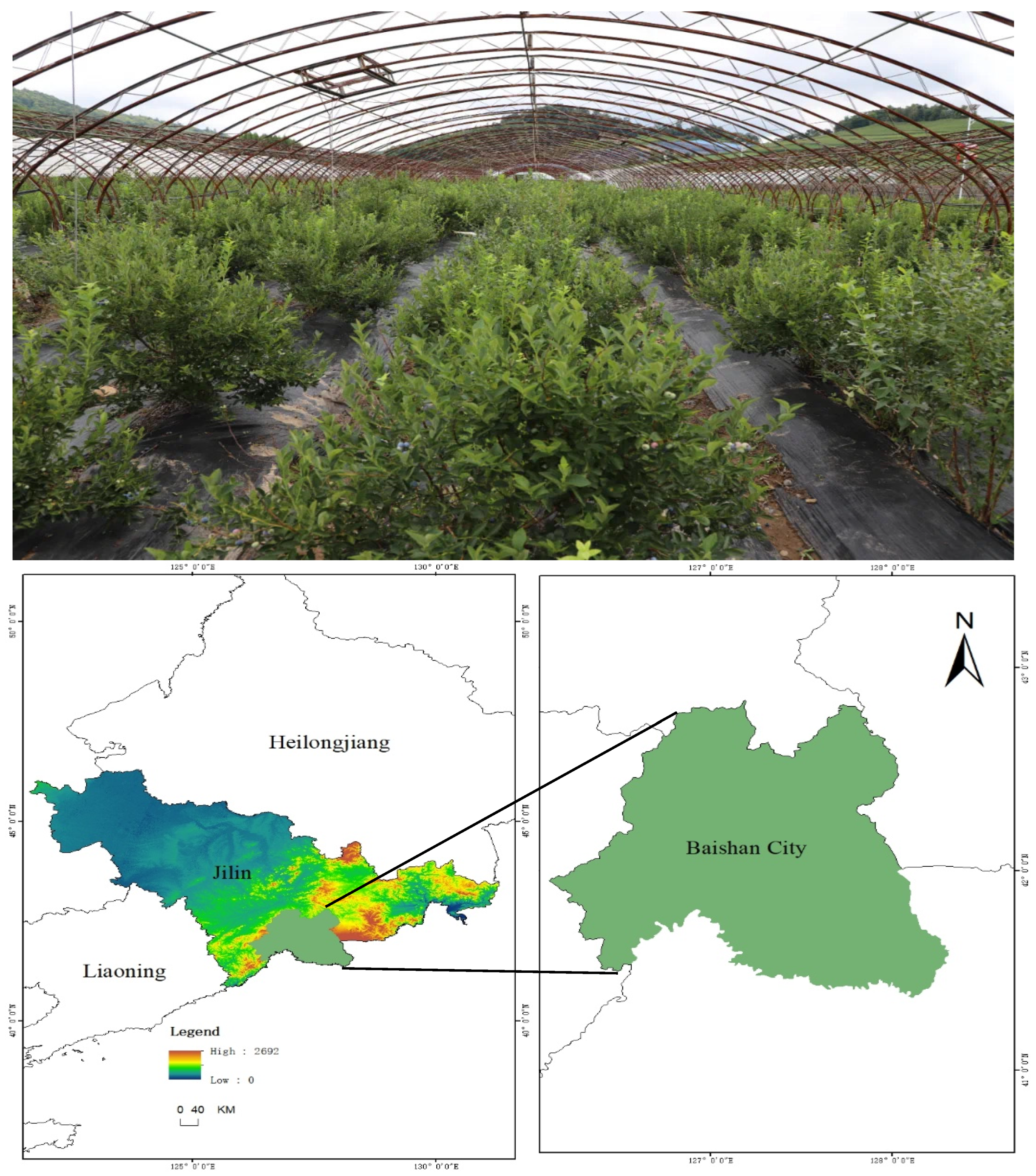 Agronomy 15 01948 g001