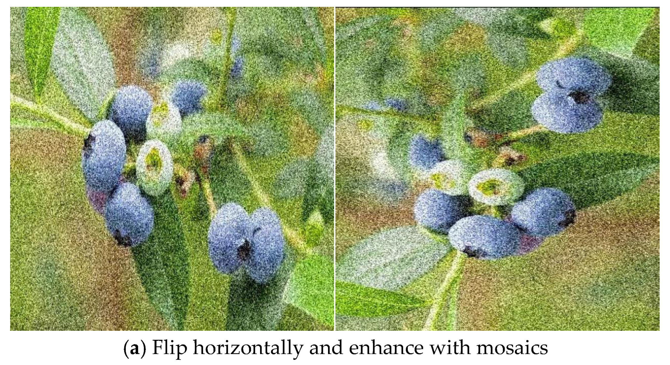 Agronomy 15 01948 g003a