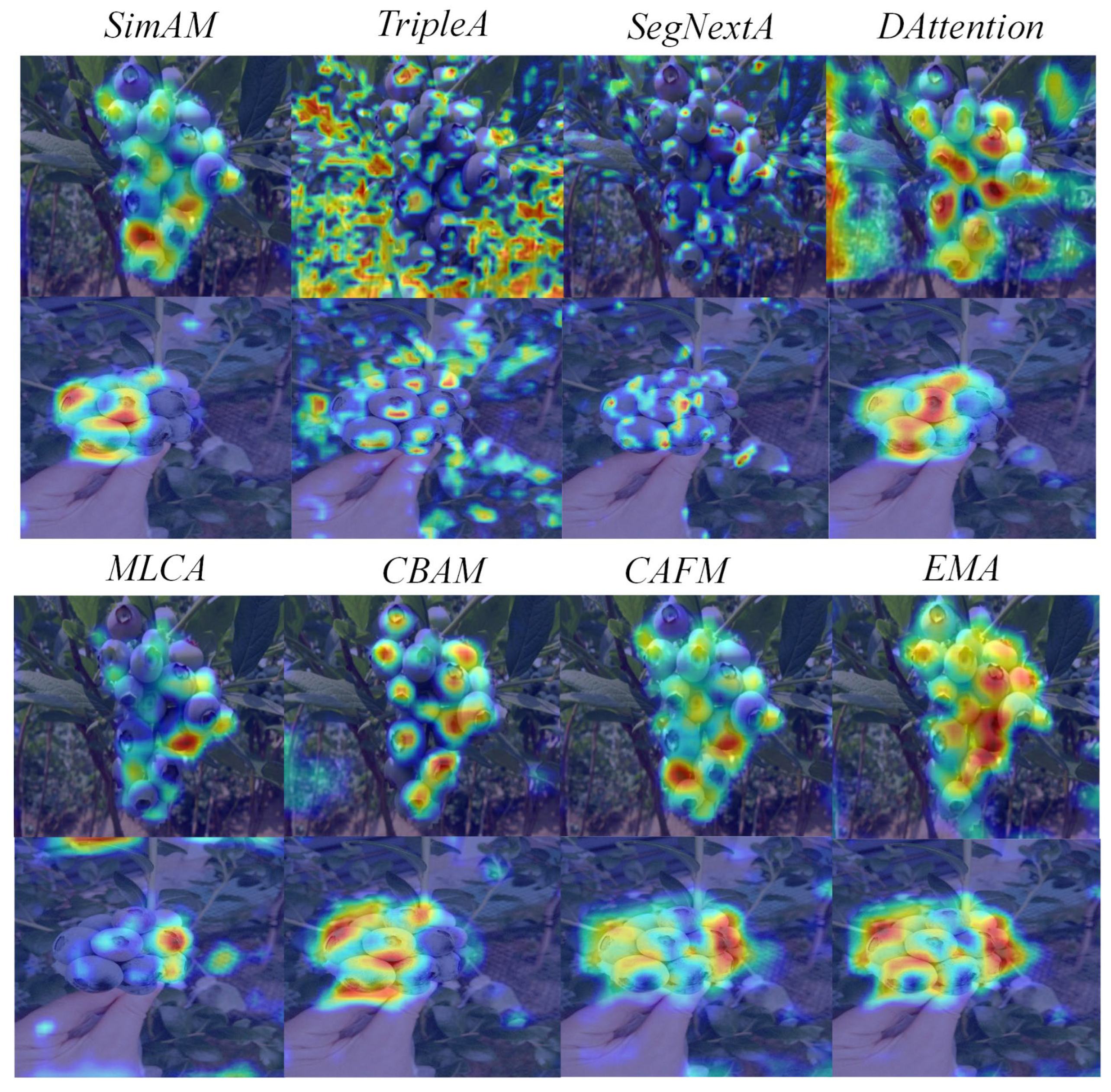 Agronomy 15 01948 g014