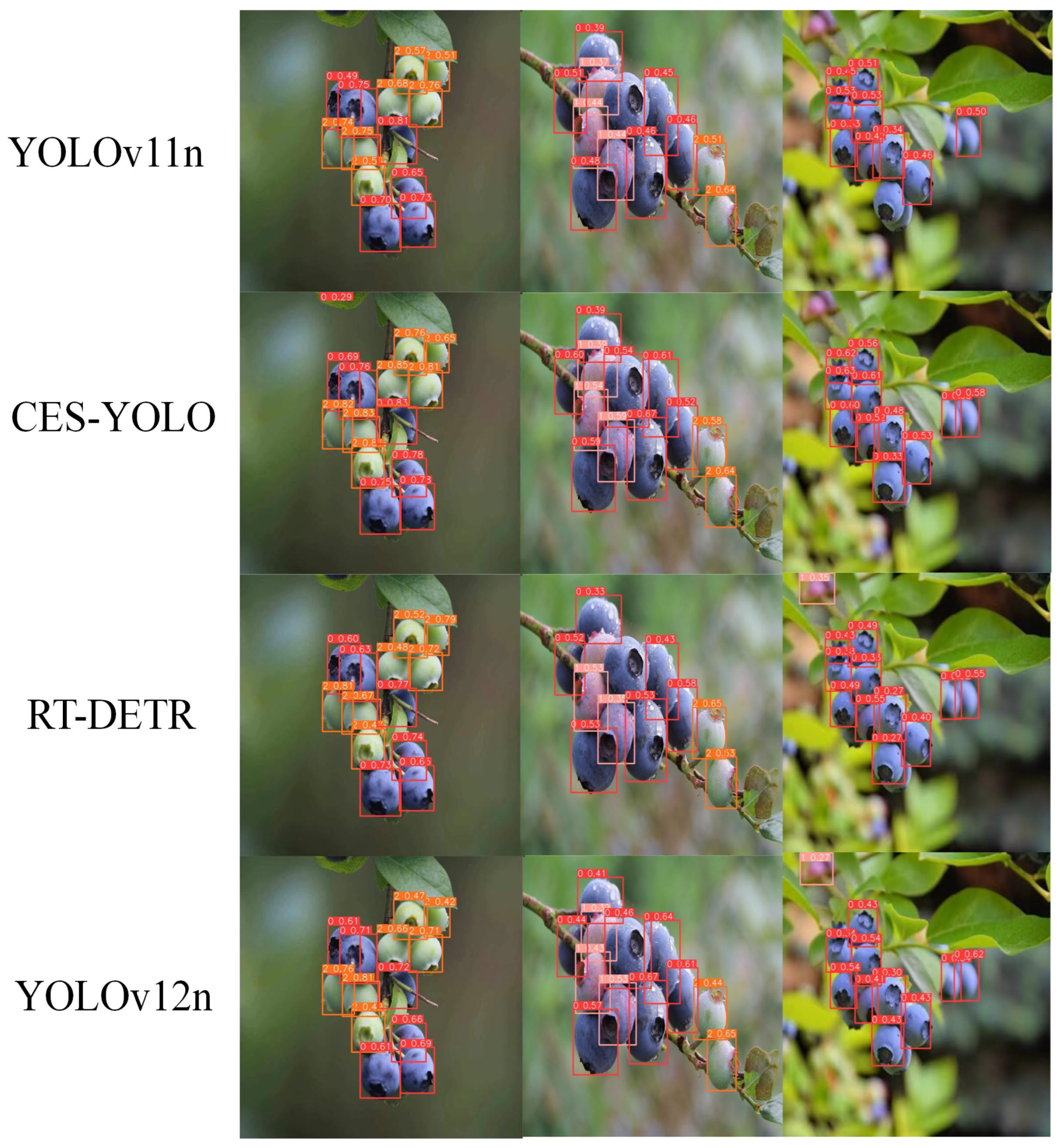 Agronomy 15 01948 g015