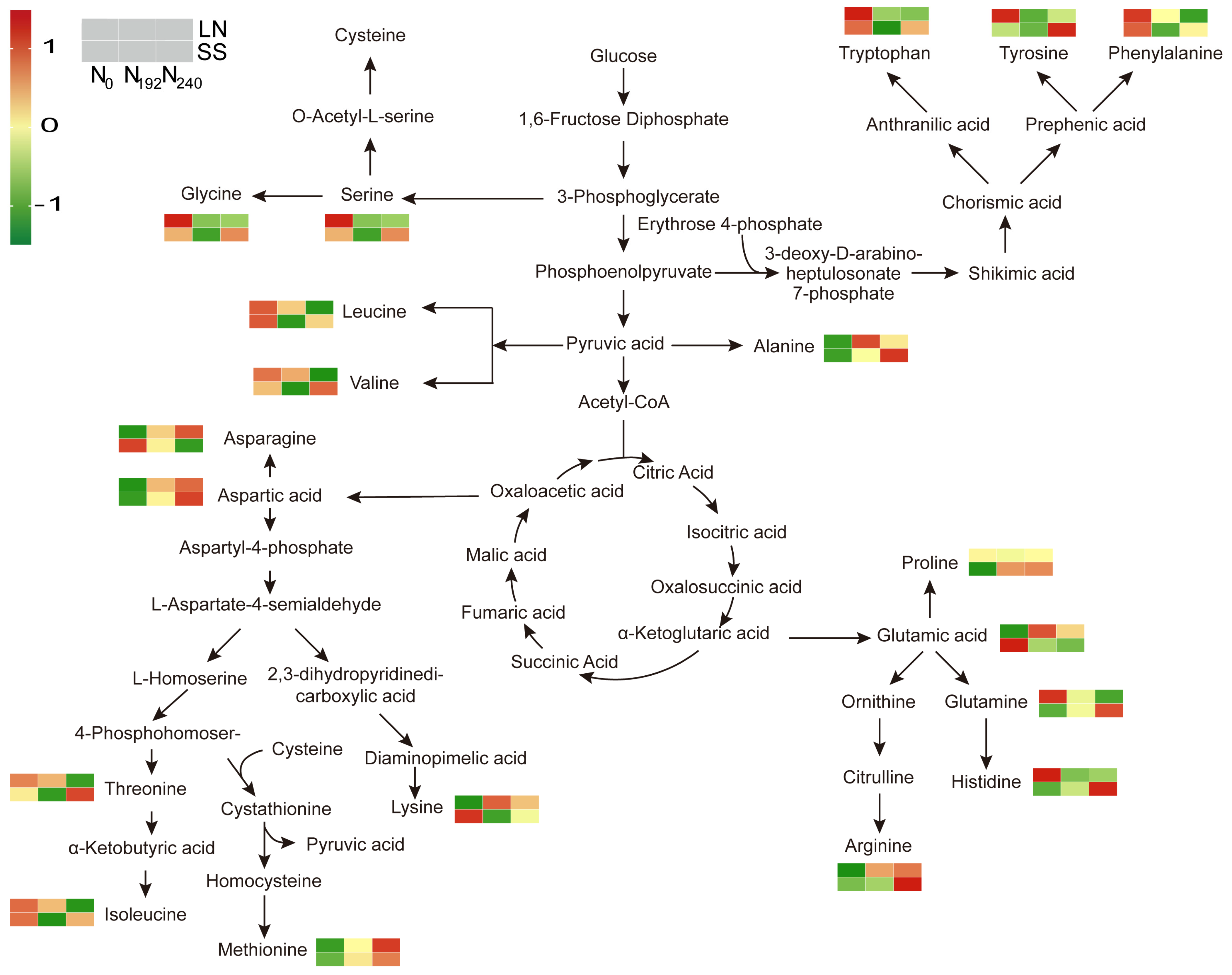 Agronomy 15 01949 g006