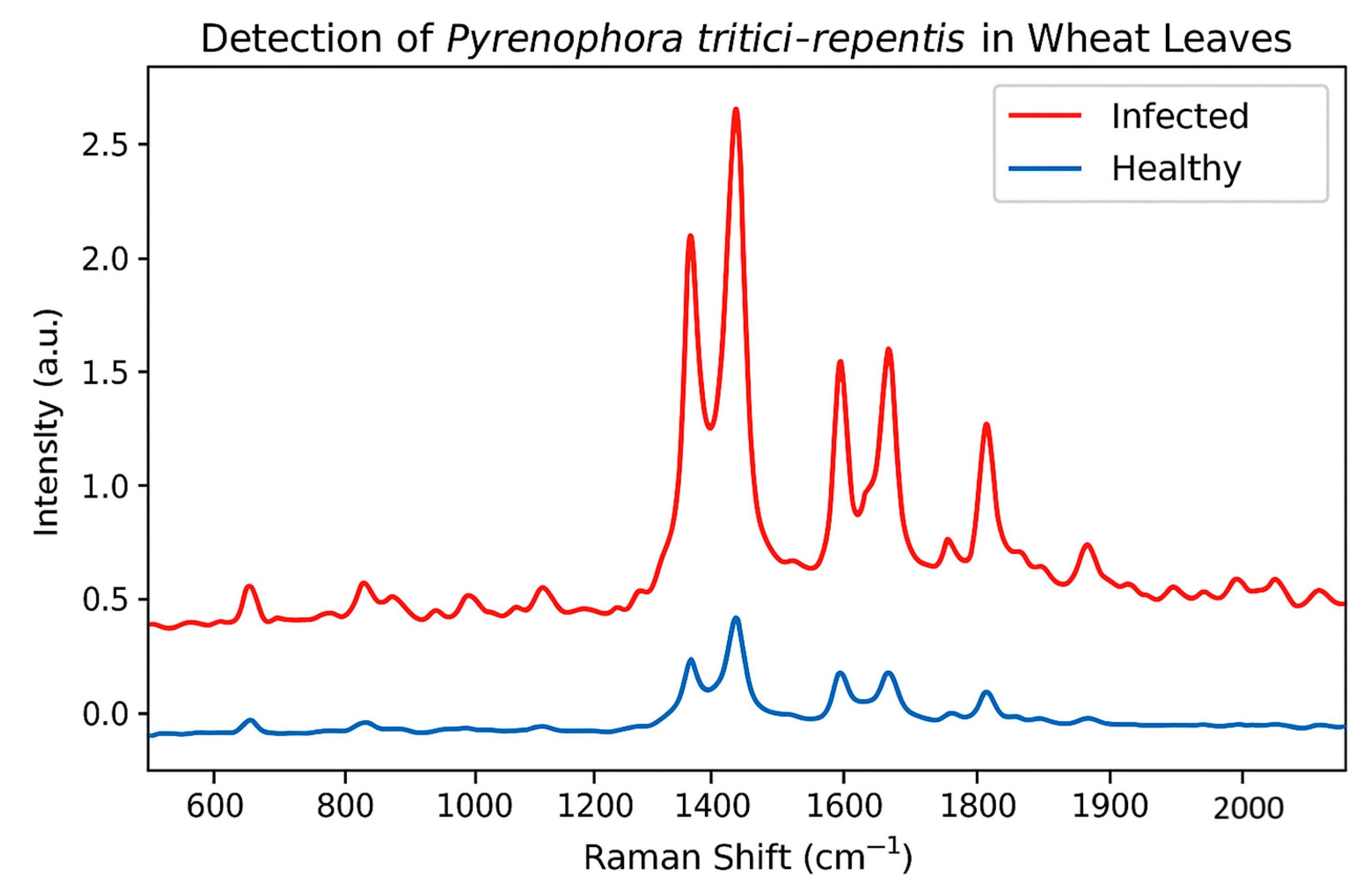 Agronomy 15 01952 g002 Agronomy 15 01952 g002