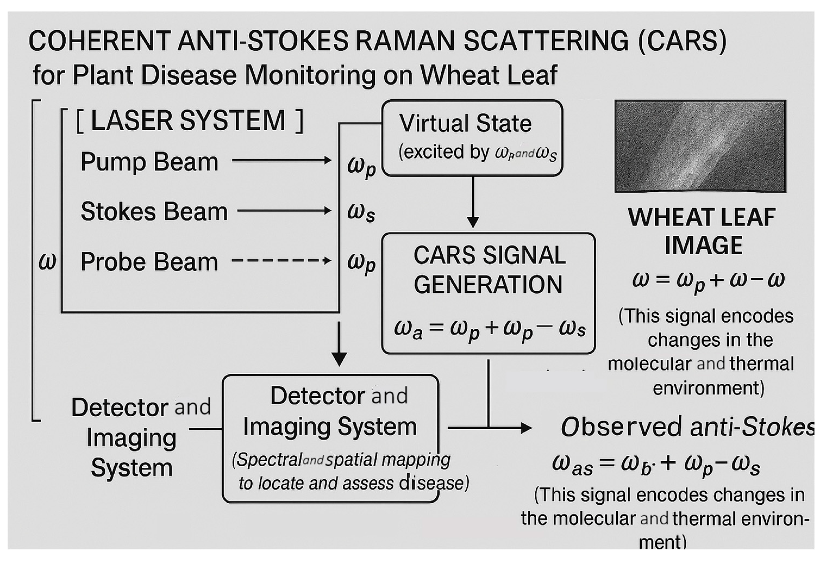 Agronomy 15 01952 g003 Agronomy 15 01952 g003